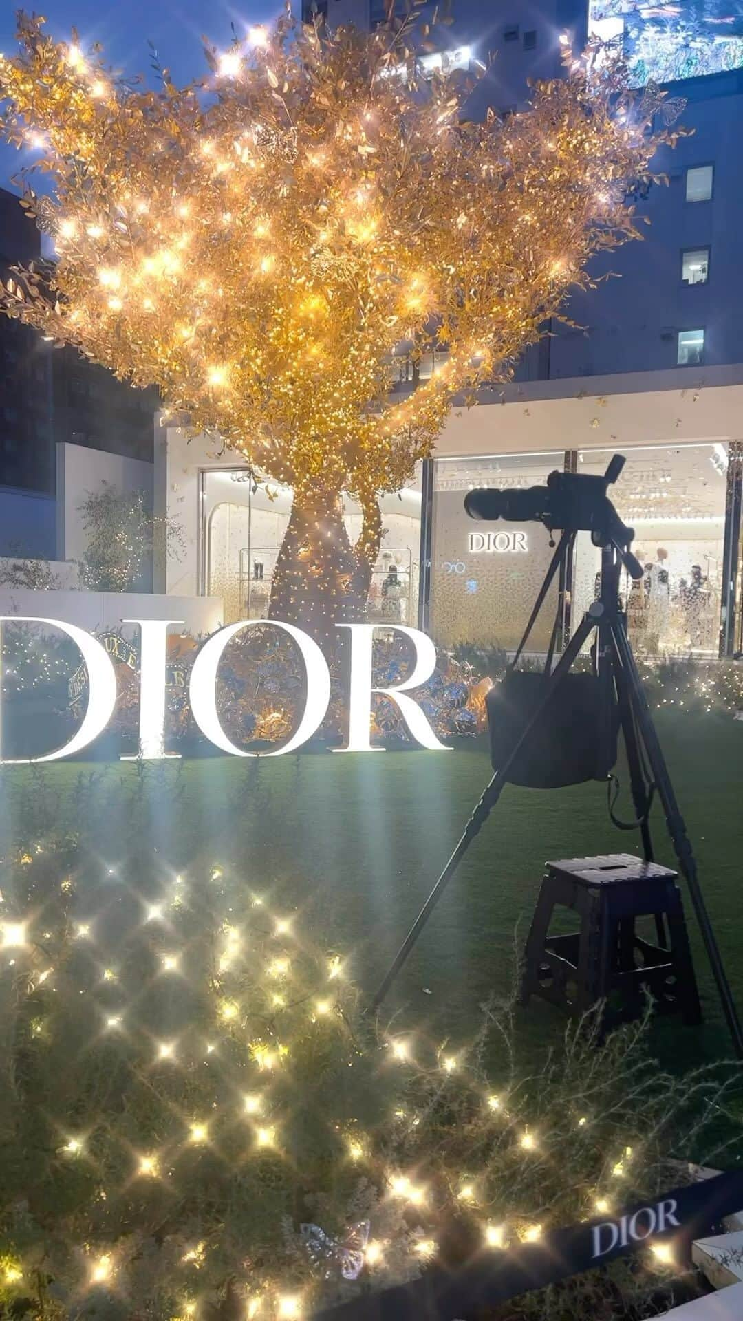 吉田麻衣子のインスタグラム：「Dior✨✨✨  冬は嫌いだけど　クリスマス🎄シーズンだけは好き❤️ #dior #omotesando  #irumination  #christmas #instahappy  #instafollow  #instagood  #instalike #model #ディオール #クリスマス #イルミネーション #表参道」