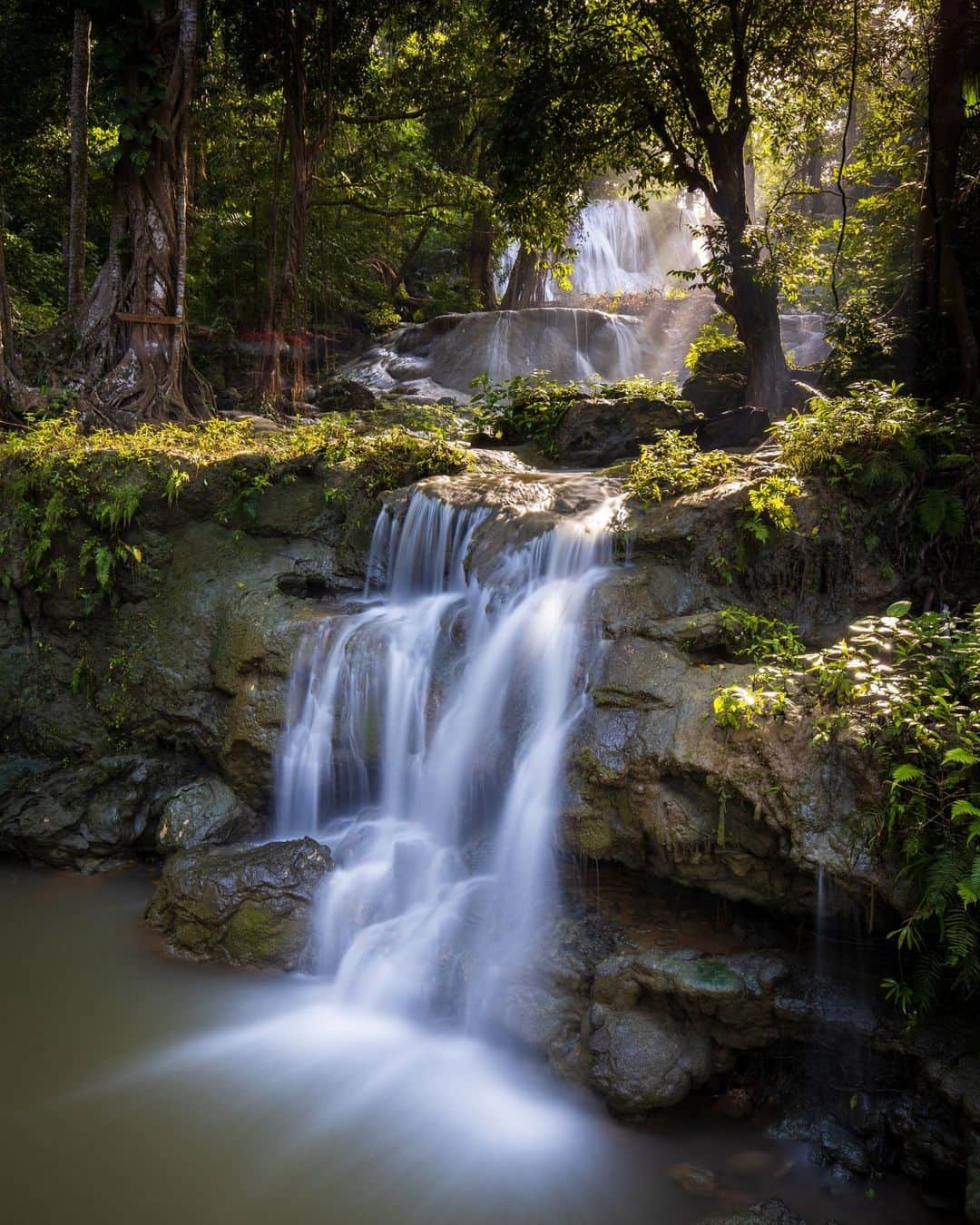 Canon Asiaのインスタグラム：「When they mention how "time reveals everything", this picture stands as the perfect illustration! Shooting with a long exposure gave @affandirh_photo an image that looks like it was painted on – from the softly flowing waters to the sunlight peeking through the forest canopy. Thanks to the wide angle EF16-35mm f/4L IS USM, we're able to enjoy as much of this picturesque scene as possible.⁣ -⁣ 📷 Photo by @affandirh_photo on Canon EOS R | EF16-35mm f/4L IS USM | 26mm | f/11 | ISO 100 | 25s⁣ -⁣ #TeamCanon #CanonAsia #CanonPhotography #CanonPhoto #CanonImages #CanonEOSR #Mirrorless #CanonLens #CanonColourScience #PhotoOfTheDay #IAmCanon #ThePhotoHour #LandscapePhotography #NaturePhotography」