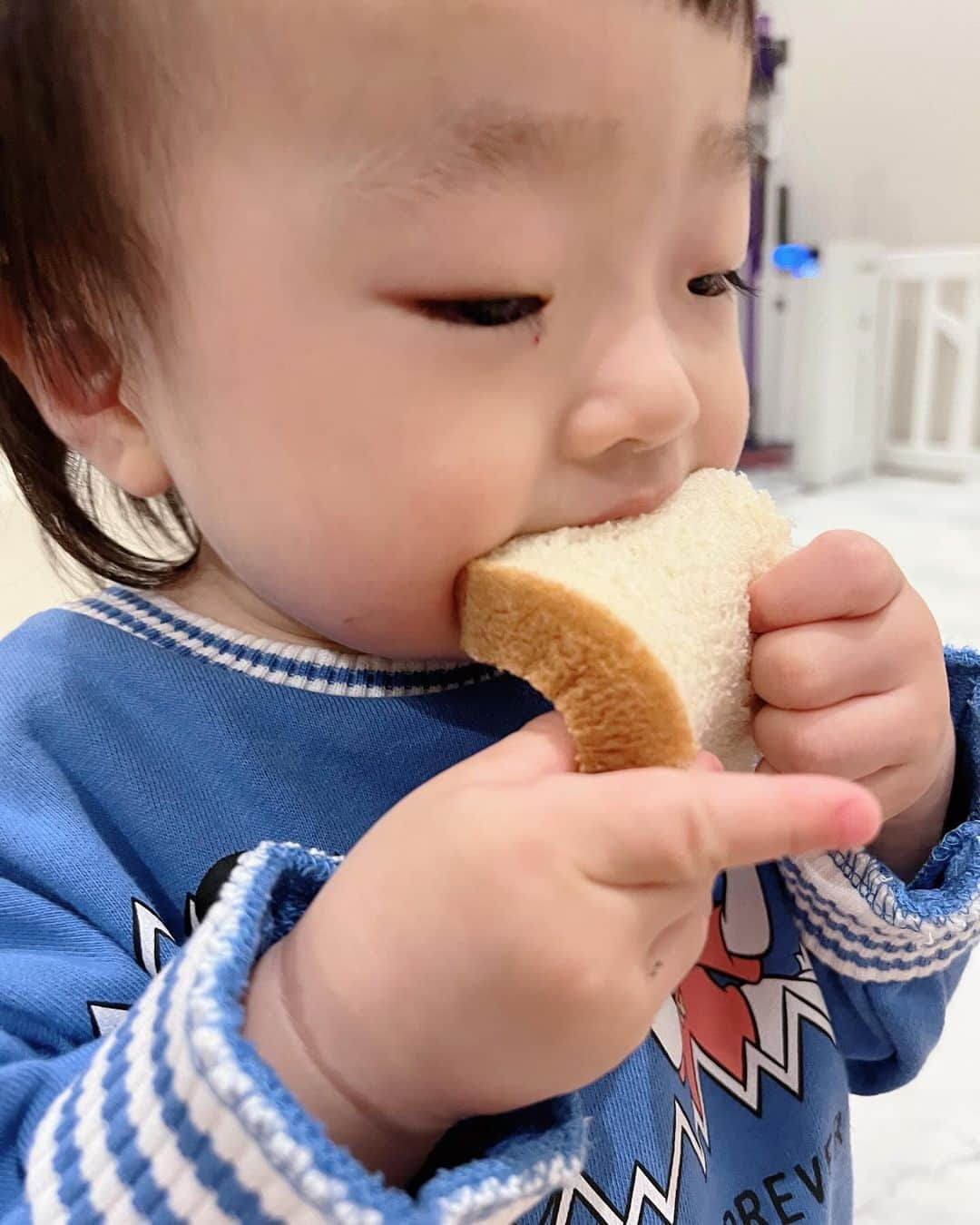 星沙織さんのインスタグラム写真 - (星沙織Instagram)「* * @panshirou   ここの食パン🍞 ほんと好き♡♡  初めましては、素敵なママからいただいて それからハマりました。  * *  本当に体に良いものだけでつくられていて 添加物不使用なのです。  子供たちも大好きなパン。 パンどろぼうみたいと喜んで食べています。🍞ෆ˚* * *」11月22日 13時07分 - saaaaa0rin