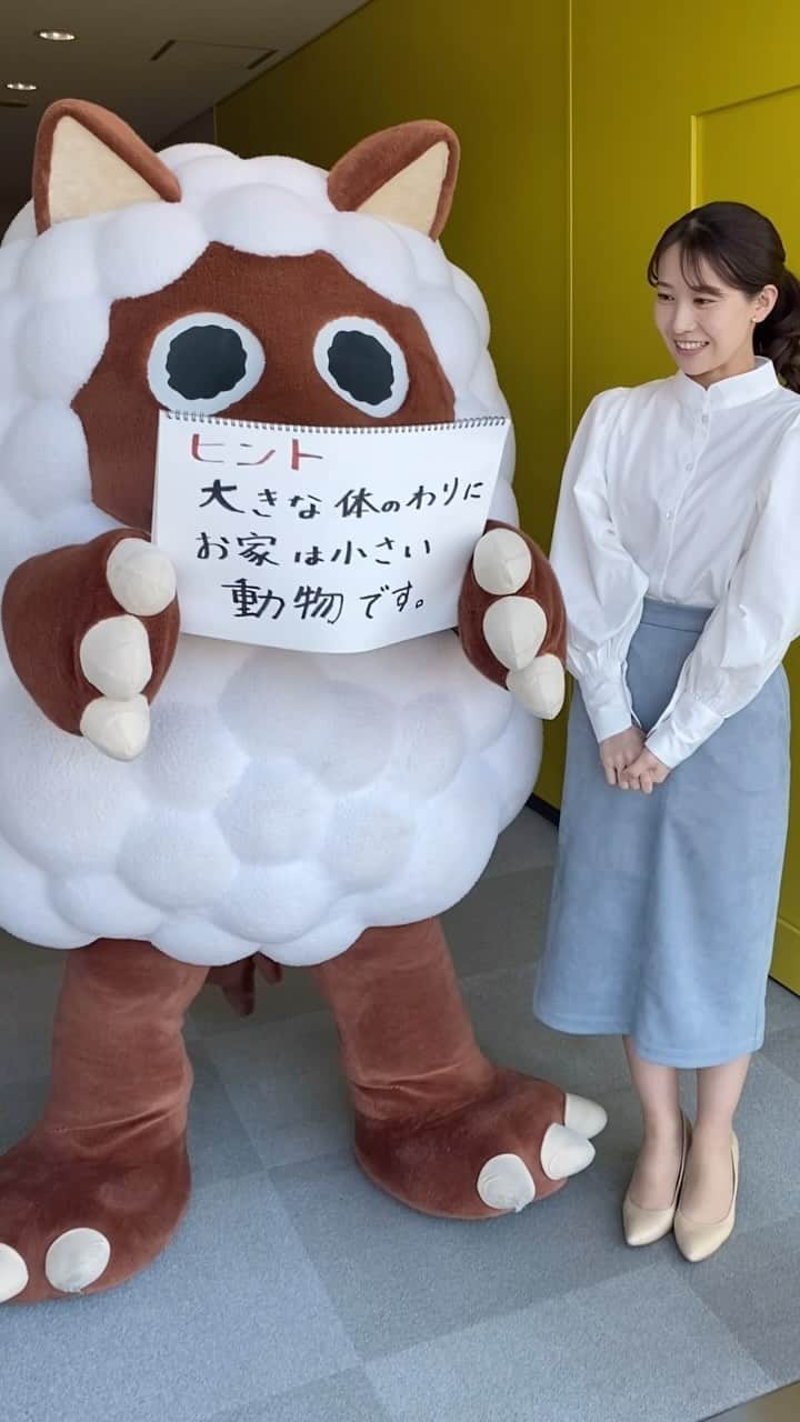 島津咲苗のインスタグラム：「今週のヒントです🎵 今日は日差しがあたたかい！ ポカポカですね🤔🙄 . . . #メーテレ #ドデスカ #アナウンサー #島津咲苗 #クイズ #ヒント #動物 #あいちウィーク #愛知 #岐阜 #名古屋 #衣装 #骨格ウェーブ」