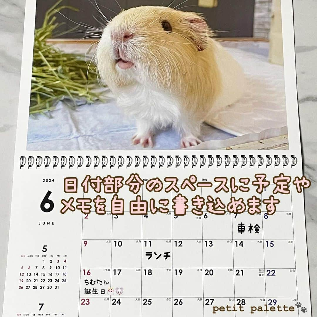 hamster_mocoさんのインスタグラム写真 - (hamster_mocoInstagram)「【2024年カレンダー販売のお知らせ🐾】  ありがたいことに今年もカレンダーのリクエストを頂きましたので我が家のsmall animal calendarを作りました👏😆 ･ 今年は卓上カレンダーと、見開きA3サイズの壁掛けカレンダーの2種類ご用意いたしました🐹🐭 どの月もとっても可愛い仕上がりとなっておりますのでぜひ販売サイトをチェックしていただけると嬉しいです💖 ･ 🐭カレンダー販売サイト🐾 販売サイトはプロフィールのリンクからご覧頂けます🔗 2023.11.22  ✼••┈┈••✼••┈┈••✼••┈┈••✼••┈┈••✼ #ハムスターゆず#ハムスター#ジャンガリアンハムスター#ジャンガリアン#ジャンガリアンプディング#プディングジャンガリアン#イエロージャンガリアン#ふわもこ部 #モフモフ#ペット#親バカ部 #hamster#djungarian#hamstagram#hammy#happy_pets#PET_OF_OUR_WORLD#igersjp#ig_japan#instapet#weeklyfluff#kawaii#cute#仓鼠#정글리안#햄스터」11月23日 0時04分 - asahi.fl