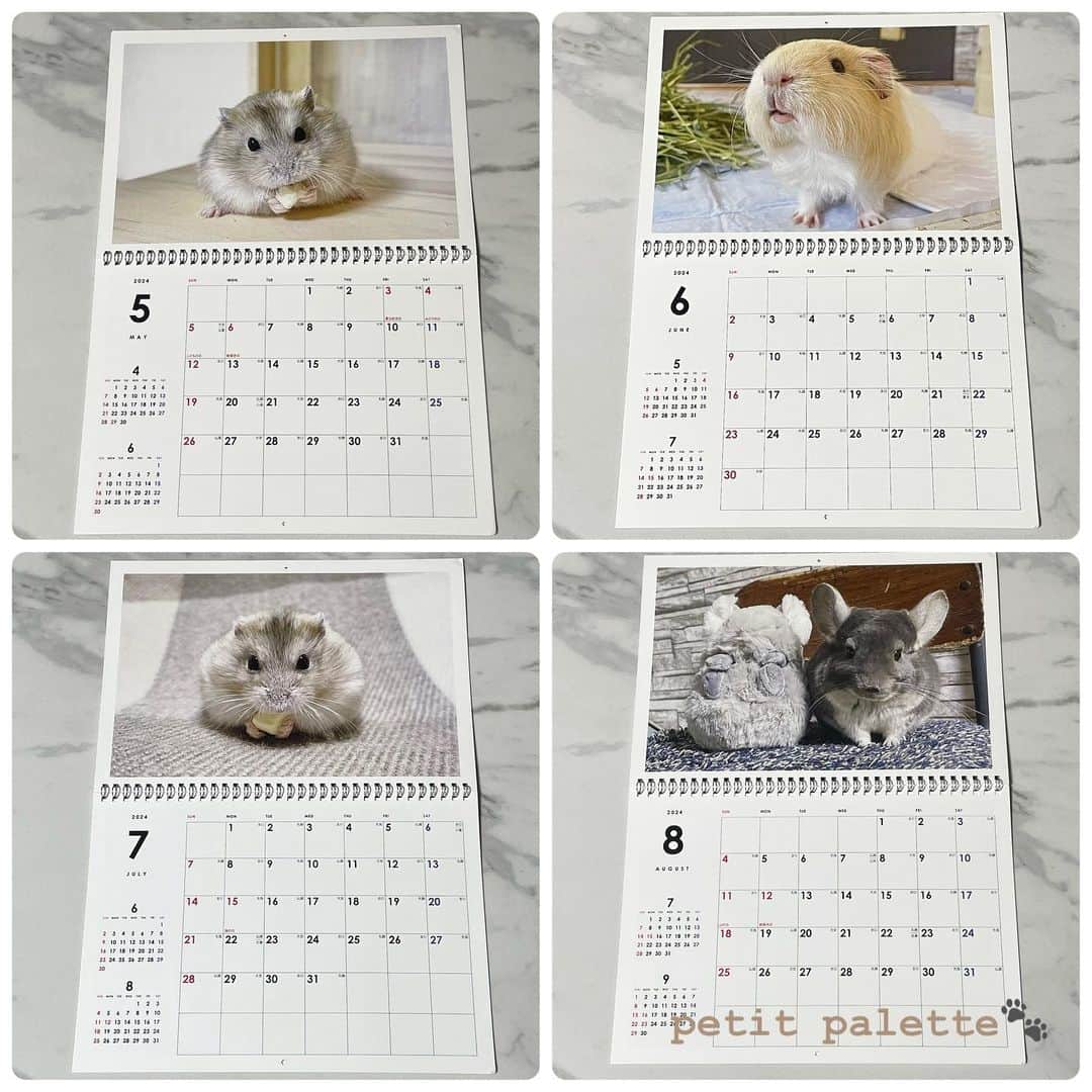 hamster_mocoさんのインスタグラム写真 - (hamster_mocoInstagram)「【2024年カレンダー販売のお知らせ🐾】  ありがたいことに今年もカレンダーのリクエストを頂きましたので我が家のsmall animal calendarを作りました👏😆 ･ 今年は卓上カレンダーと、見開きA3サイズの壁掛けカレンダーの2種類ご用意いたしました🐹🐭 どの月もとっても可愛い仕上がりとなっておりますのでぜひ販売サイトをチェックしていただけると嬉しいです💖 ･ 🐭カレンダー販売サイト🐾 販売サイトはプロフィールのリンクからご覧頂けます🔗 2023.11.22  ✼••┈┈••✼••┈┈••✼••┈┈••✼••┈┈••✼ #ハムスターゆず#ハムスター#ジャンガリアンハムスター#ジャンガリアン#ジャンガリアンプディング#プディングジャンガリアン#イエロージャンガリアン#ふわもこ部 #モフモフ#ペット#親バカ部 #hamster#djungarian#hamstagram#hammy#happy_pets#PET_OF_OUR_WORLD#igersjp#ig_japan#instapet#weeklyfluff#kawaii#cute#仓鼠#정글리안#햄스터」11月23日 0時04分 - asahi.fl