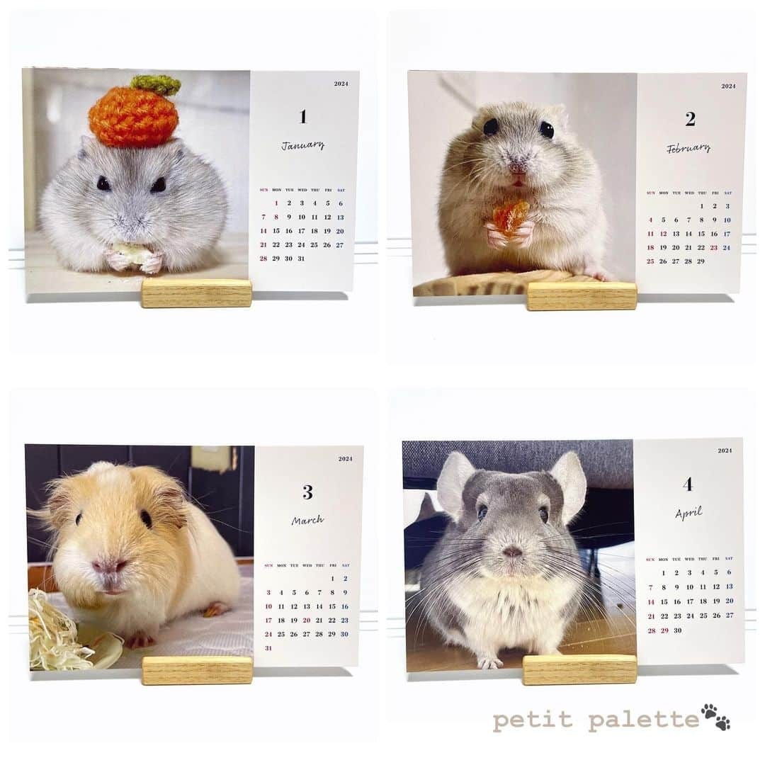 hamster_mocoさんのインスタグラム写真 - (hamster_mocoInstagram)「【2024年カレンダー販売のお知らせ🐾】  ありがたいことに今年もカレンダーのリクエストを頂きましたので我が家のsmall animal calendarを作りました👏😆 ･ 今年は卓上カレンダーと、見開きA3サイズの壁掛けカレンダーの2種類ご用意いたしました🐹🐭 どの月もとっても可愛い仕上がりとなっておりますのでぜひ販売サイトをチェックしていただけると嬉しいです💖 ･ 🐭カレンダー販売サイト🐾 販売サイトはプロフィールのリンクからご覧頂けます🔗 2023.11.22  ✼••┈┈••✼••┈┈••✼••┈┈••✼••┈┈••✼ #ハムスターゆず#ハムスター#ジャンガリアンハムスター#ジャンガリアン#ジャンガリアンプディング#プディングジャンガリアン#イエロージャンガリアン#ふわもこ部 #モフモフ#ペット#親バカ部 #hamster#djungarian#hamstagram#hammy#happy_pets#PET_OF_OUR_WORLD#igersjp#ig_japan#instapet#weeklyfluff#kawaii#cute#仓鼠#정글리안#햄스터」11月23日 0時04分 - asahi.fl