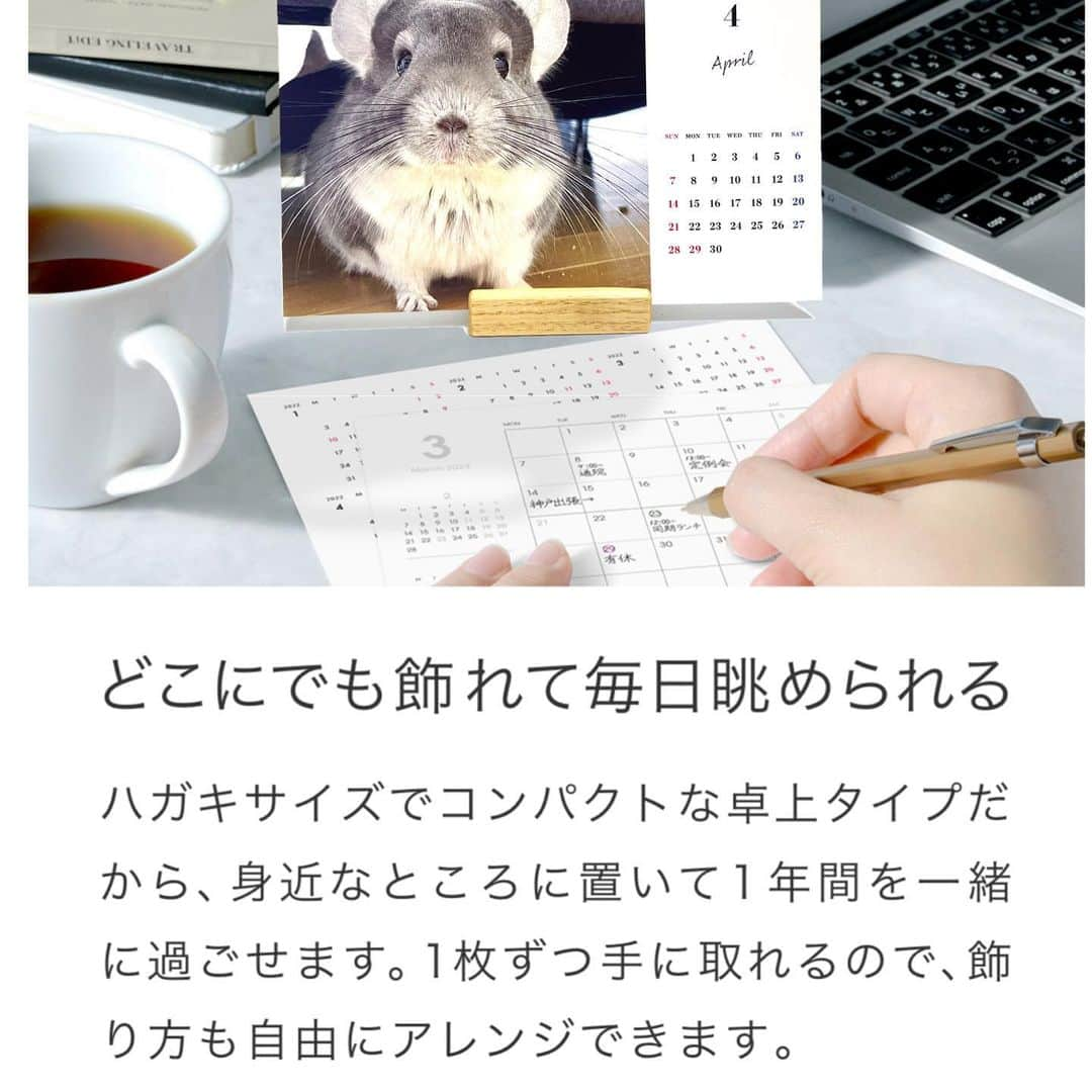 hamster_mocoさんのインスタグラム写真 - (hamster_mocoInstagram)「【2024年カレンダー販売のお知らせ🐾】  ありがたいことに今年もカレンダーのリクエストを頂きましたので我が家のsmall animal calendarを作りました👏😆 ･ 今年は卓上カレンダーと、見開きA3サイズの壁掛けカレンダーの2種類ご用意いたしました🐹🐭 どの月もとっても可愛い仕上がりとなっておりますのでぜひ販売サイトをチェックしていただけると嬉しいです💖 ･ 🐭カレンダー販売サイト🐾 販売サイトはプロフィールのリンクからご覧頂けます🔗 2023.11.22  ✼••┈┈••✼••┈┈••✼••┈┈••✼••┈┈••✼ #ハムスターゆず#ハムスター#ジャンガリアンハムスター#ジャンガリアン#ジャンガリアンプディング#プディングジャンガリアン#イエロージャンガリアン#ふわもこ部 #モフモフ#ペット#親バカ部 #hamster#djungarian#hamstagram#hammy#happy_pets#PET_OF_OUR_WORLD#igersjp#ig_japan#instapet#weeklyfluff#kawaii#cute#仓鼠#정글리안#햄스터」11月23日 0時04分 - asahi.fl