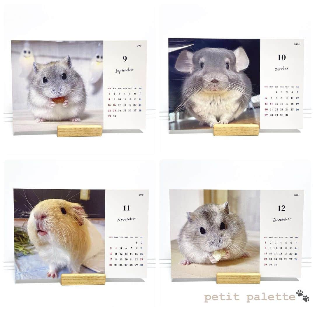 hamster_mocoさんのインスタグラム写真 - (hamster_mocoInstagram)「【2024年カレンダー販売のお知らせ🐾】  ありがたいことに今年もカレンダーのリクエストを頂きましたので我が家のsmall animal calendarを作りました👏😆 ･ 今年は卓上カレンダーと、見開きA3サイズの壁掛けカレンダーの2種類ご用意いたしました🐹🐭 どの月もとっても可愛い仕上がりとなっておりますのでぜひ販売サイトをチェックしていただけると嬉しいです💖 ･ 🐭カレンダー販売サイト🐾 販売サイトはプロフィールのリンクからご覧頂けます🔗 2023.11.22  ✼••┈┈••✼••┈┈••✼••┈┈••✼••┈┈••✼ #ハムスターゆず#ハムスター#ジャンガリアンハムスター#ジャンガリアン#ジャンガリアンプディング#プディングジャンガリアン#イエロージャンガリアン#ふわもこ部 #モフモフ#ペット#親バカ部 #hamster#djungarian#hamstagram#hammy#happy_pets#PET_OF_OUR_WORLD#igersjp#ig_japan#instapet#weeklyfluff#kawaii#cute#仓鼠#정글리안#햄스터」11月23日 0時04分 - asahi.fl