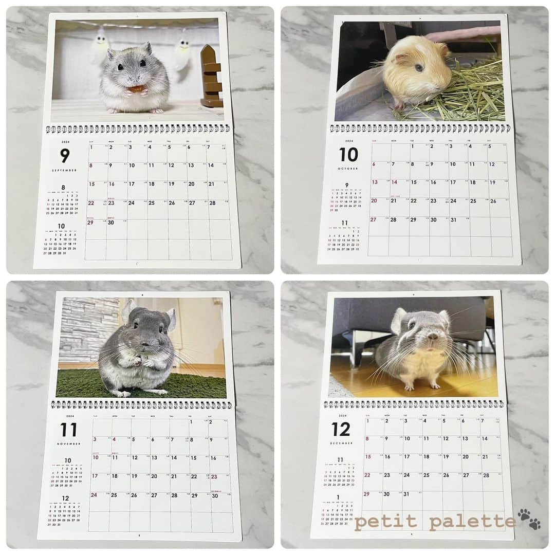 hamster_mocoさんのインスタグラム写真 - (hamster_mocoInstagram)「【2024年カレンダー販売のお知らせ🐾】  ありがたいことに今年もカレンダーのリクエストを頂きましたので我が家のsmall animal calendarを作りました👏😆 ･ 今年は卓上カレンダーと、見開きA3サイズの壁掛けカレンダーの2種類ご用意いたしました🐹🐭 どの月もとっても可愛い仕上がりとなっておりますのでぜひ販売サイトをチェックしていただけると嬉しいです💖 ･ 🐭カレンダー販売サイト🐾 販売サイトはプロフィールのリンクからご覧頂けます🔗 2023.11.22  ✼••┈┈••✼••┈┈••✼••┈┈••✼••┈┈••✼ #ハムスターゆず#ハムスター#ジャンガリアンハムスター#ジャンガリアン#ジャンガリアンプディング#プディングジャンガリアン#イエロージャンガリアン#ふわもこ部 #モフモフ#ペット#親バカ部 #hamster#djungarian#hamstagram#hammy#happy_pets#PET_OF_OUR_WORLD#igersjp#ig_japan#instapet#weeklyfluff#kawaii#cute#仓鼠#정글리안#햄스터」11月23日 0時04分 - asahi.fl