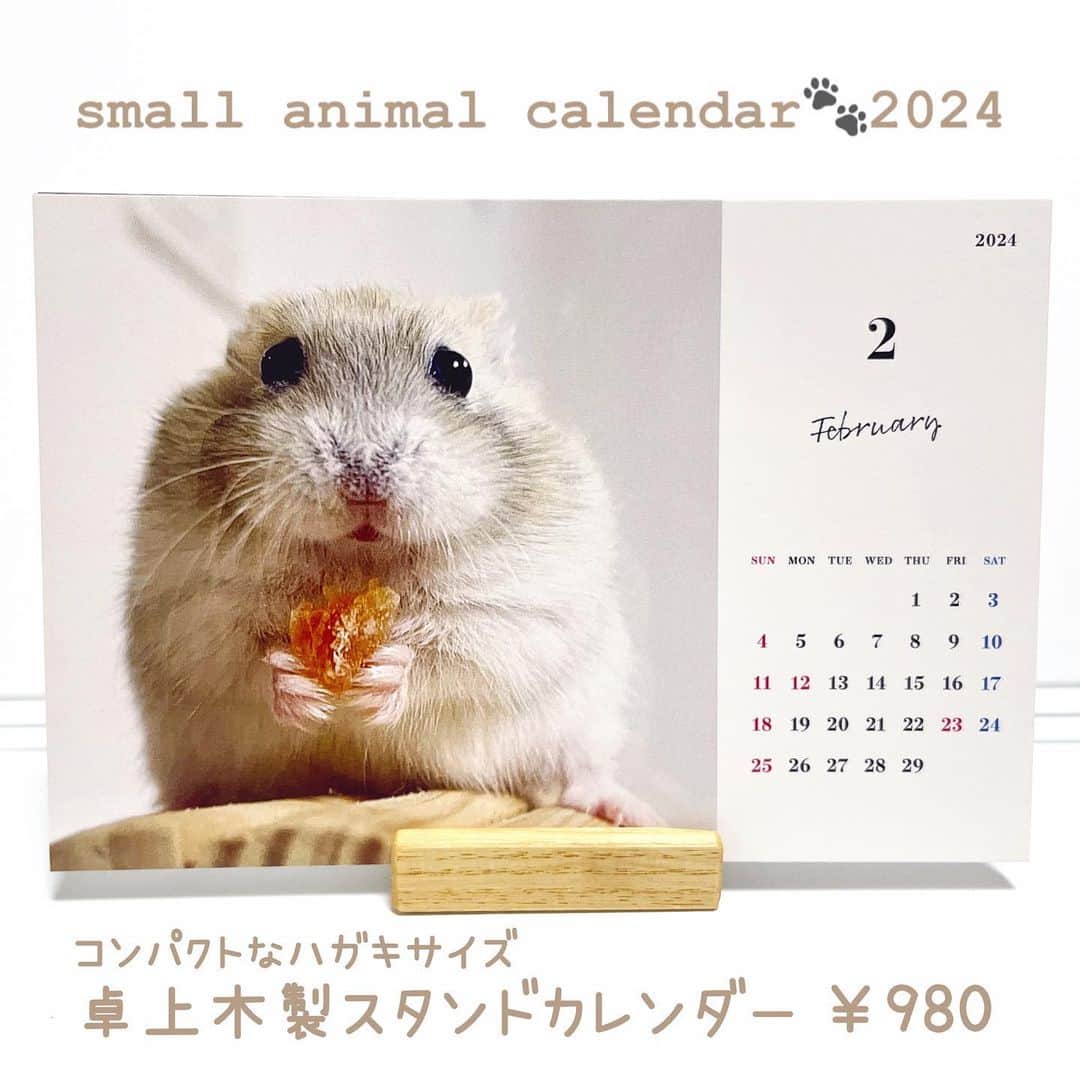hamster_mocoのインスタグラム：「【2024年カレンダー販売のお知らせ🐾】  ありがたいことに今年もカレンダーのリクエストを頂きましたので我が家のsmall animal calendarを作りました👏😆 ･ 今年は卓上カレンダーと、見開きA3サイズの壁掛けカレンダーの2種類ご用意いたしました🐹🐭 どの月もとっても可愛い仕上がりとなっておりますのでぜひ販売サイトをチェックしていただけると嬉しいです💖 ･ 🐭カレンダー販売サイト🐾 販売サイトはプロフィールのリンクからご覧頂けます🔗 2023.11.22  ✼••┈┈••✼••┈┈••✼••┈┈••✼••┈┈••✼ #ハムスターゆず#ハムスター#ジャンガリアンハムスター#ジャンガリアン#ジャンガリアンプディング#プディングジャンガリアン#イエロージャンガリアン#ふわもこ部 #モフモフ#ペット#親バカ部 #hamster#djungarian#hamstagram#hammy#happy_pets#PET_OF_OUR_WORLD#igersjp#ig_japan#instapet#weeklyfluff#kawaii#cute#仓鼠#정글리안#햄스터」