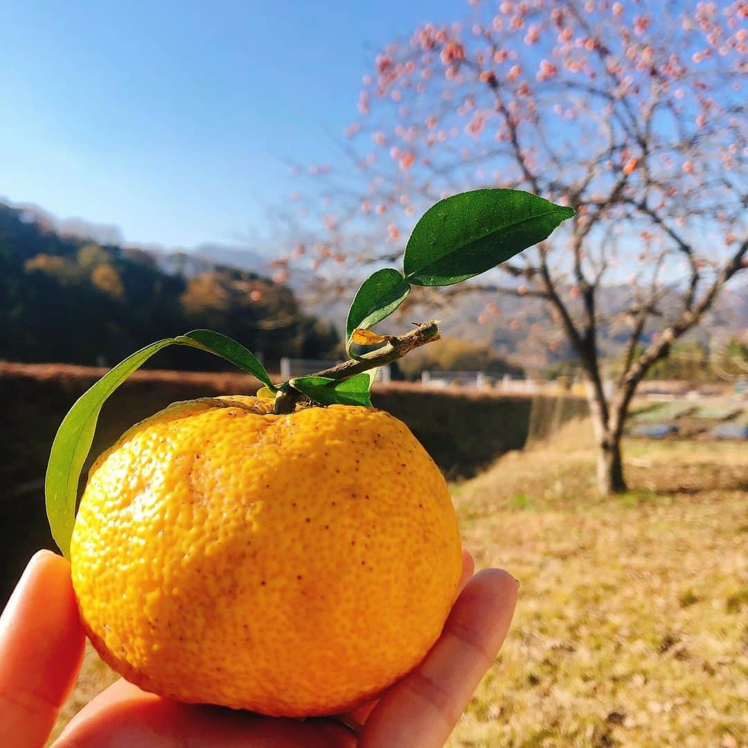 久保田夏菜のインスタグラム