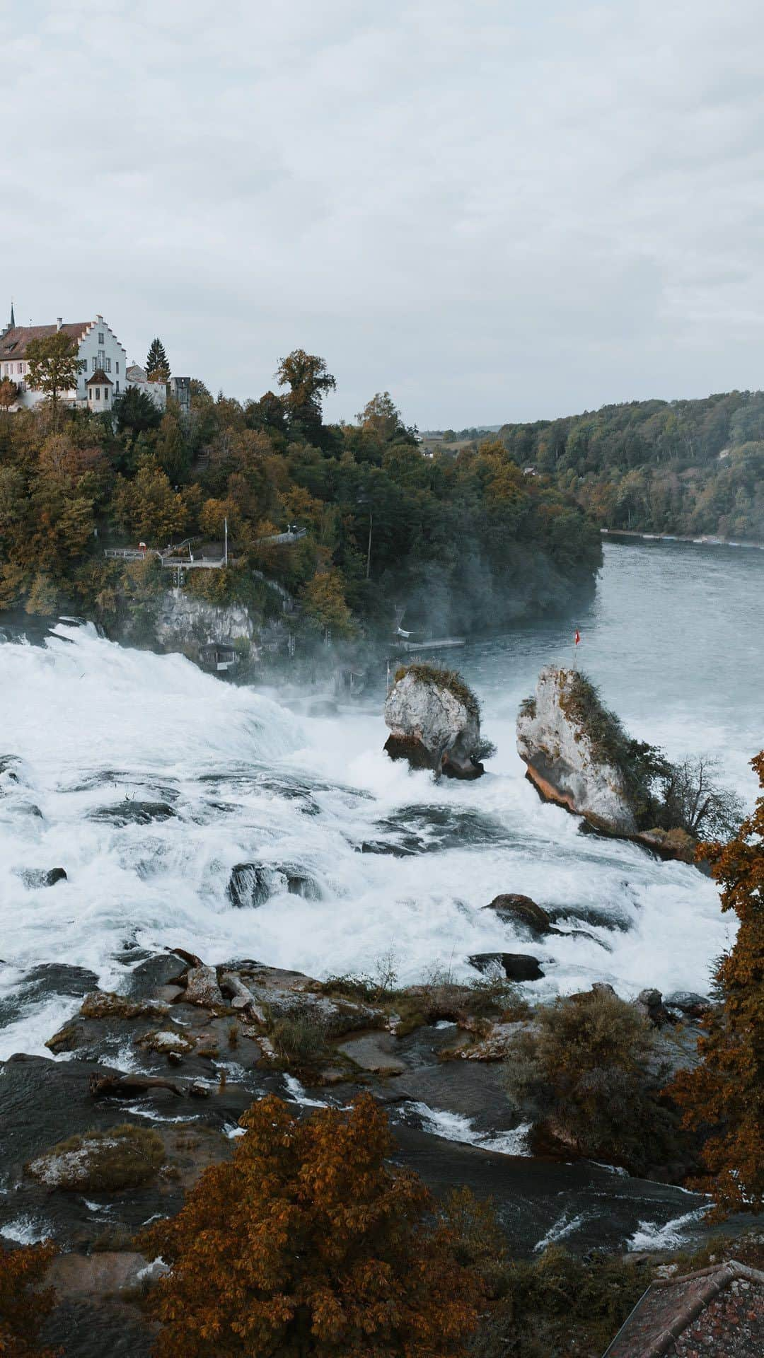 IWCのインスタグラム：「Our story begins here. In Schaffhausen, the birthplace of IWC, the Rhine Falls are more than just a source of power – they are also our endless source of inspiration. Europe’s highest waterfalls remind us daily of the wonders of nature and the perpetual flow of time, perfectly captured in the precisely calibrated movement of our Portofino Perpetual Calendar (Ref. IW344602). Core to our heritage, this exquisite watch features a 40mm case crafted in 18-carat 5N gold.  🔗Link In Bio  #IWCHolidaySeason | #IWCwatches | #TheOriginOfTime | #IWCPortofino」