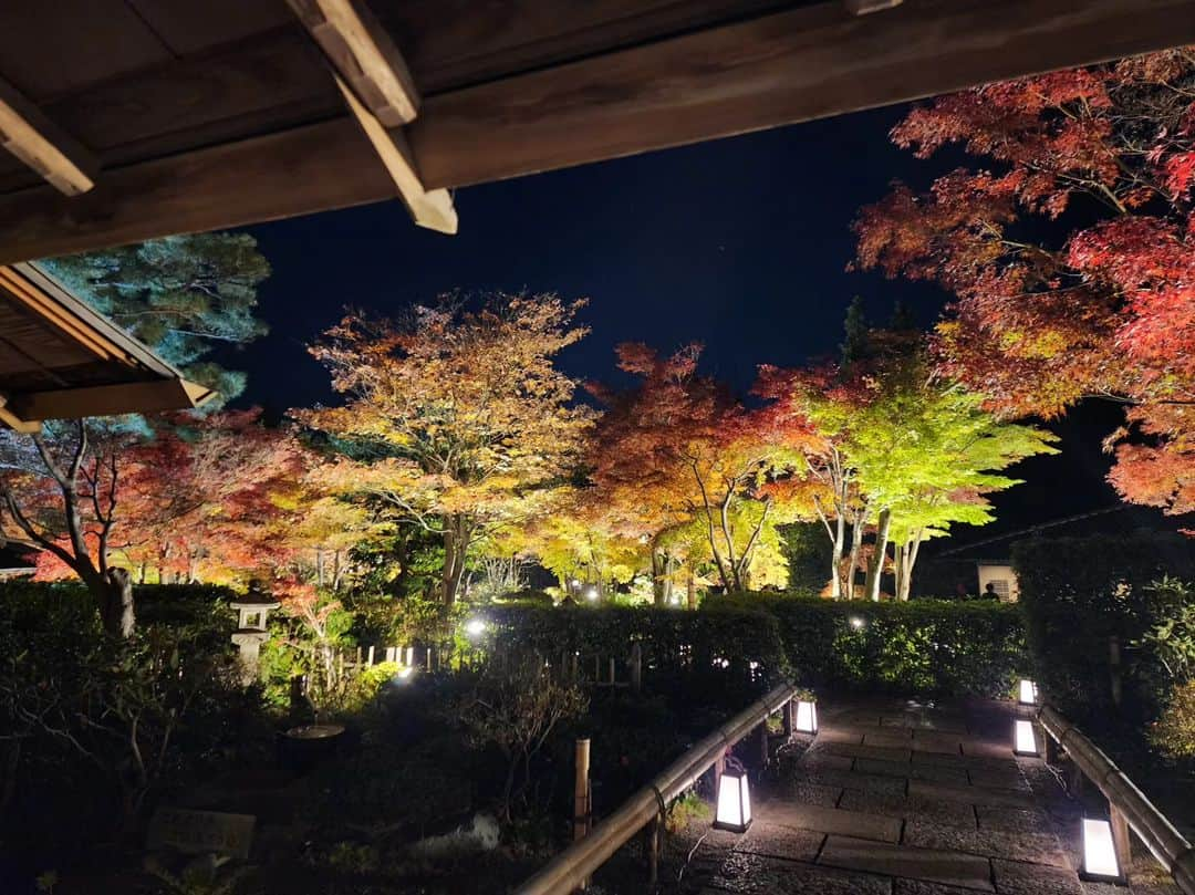 花咲ゆき美さんのインスタグラム写真 - (花咲ゆき美Instagram)「昭和記念公園【秋の夜散歩2023】のつづき～」11月22日 22時56分 - yukimi0774