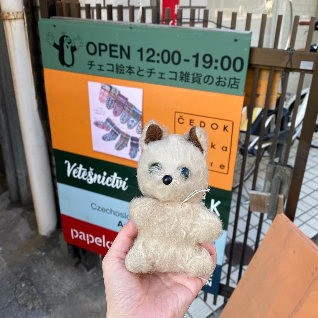 北岸由美のインスタグラム：「毎年個展でお世話になっているチェドックさん、 明日までで今の場所で(そして“チェドック”としての)営業が終了とのことで、久しぶりに遊びに行ってきました。  開催中の「イランのおばあちゃんの手編み靴下展」で 靴下を選んで、ヘンテコな雑貨を愛でて、 このちょっと気の弱そうなねこのぬいぐるみを 連れて帰ってきました。 (靴下は選ぶのに夢中で写真を撮りそびれました...)  12月上旬に蔵前三筋の方へ移転となるそうです。  帰りにみんなが好きな入り口の道で記念写真を。 この細道は私も時々絵にも登場させていてお気に入りでした。 明日まで営業されるそうです！  #チェドックザッカストア」