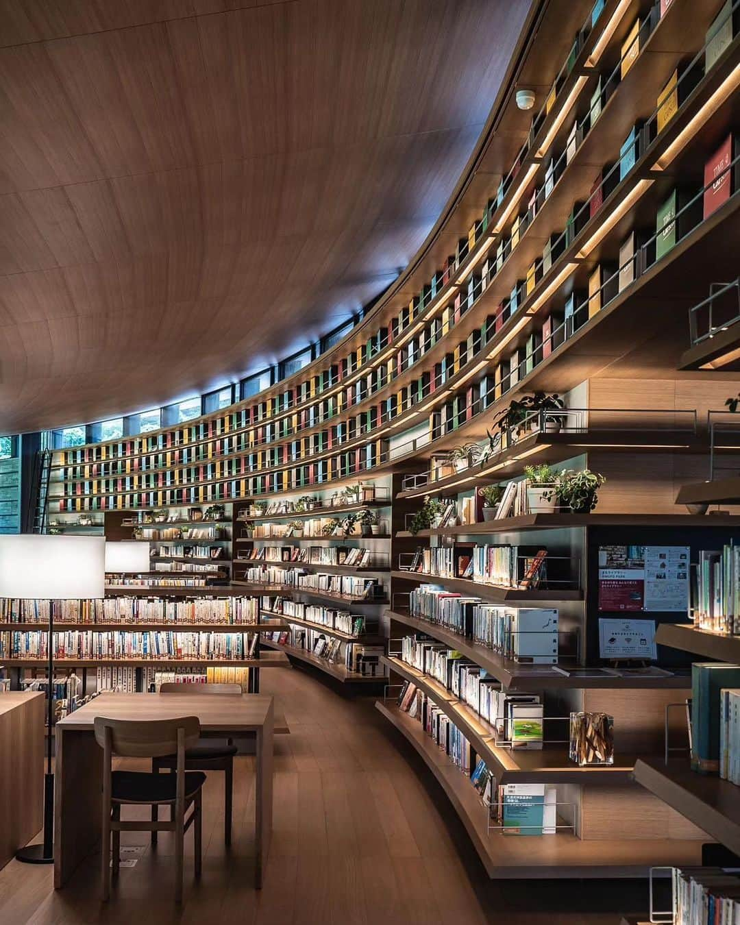 Promoting Tokyo Culture都庁文化振興部のインスタグラム：「Machi Library is located in a corner of MUFG PARK, a newly created park in Nishitokyo City 📚  The bookshelves in this beautifully designed space are arranged in the order of natural science, history/philosophy, social studies, and literature from the bottom to the top, overlapping the history of civilization from the birth of mankind.  -  緩やかなアーチを描く空間デザインが美しいですね。 ここは、西東京市で新たに誕生した公園「MUFG PARK」の一角にある図書館「まちライブラリー@MUFG PARK」📚 「生活の地層本棚」と名付けられた本棚には、下段から順に自然科学・歴史/哲学・社会・文学と、人類の誕生から文明の歴史を重ねていくよう配架されています。  #tokyoartsandculture 📸: @rinbow00_  #MUFGPARK #librarydesign #musashino #武蔵野市 #tokyotrip #tokyostreet #tokyophotography #tokyojapan  #tokyotokyo #culturetrip #explorejpn #japan_of_insta #japan_art_photography #japan_great_view #theculturetrip #japantrip #bestphoto_japan #thestreetphotographyhub  #nipponpic #japan_photo_now #tokyolife #discoverjapan #japanfocus #japanesestyle #unknownjapan #streetclassics #timeless_streets  #streetsnap #artphoto」