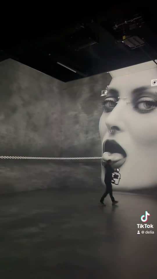 Delia Matacheのインスタグラム：「Reactia mea la cald…inainte de concert⛓️💿⛓️💿⛓️🖤 Pe toti cei implicati in acest proiect…va iubesc si va ador!  #flex」