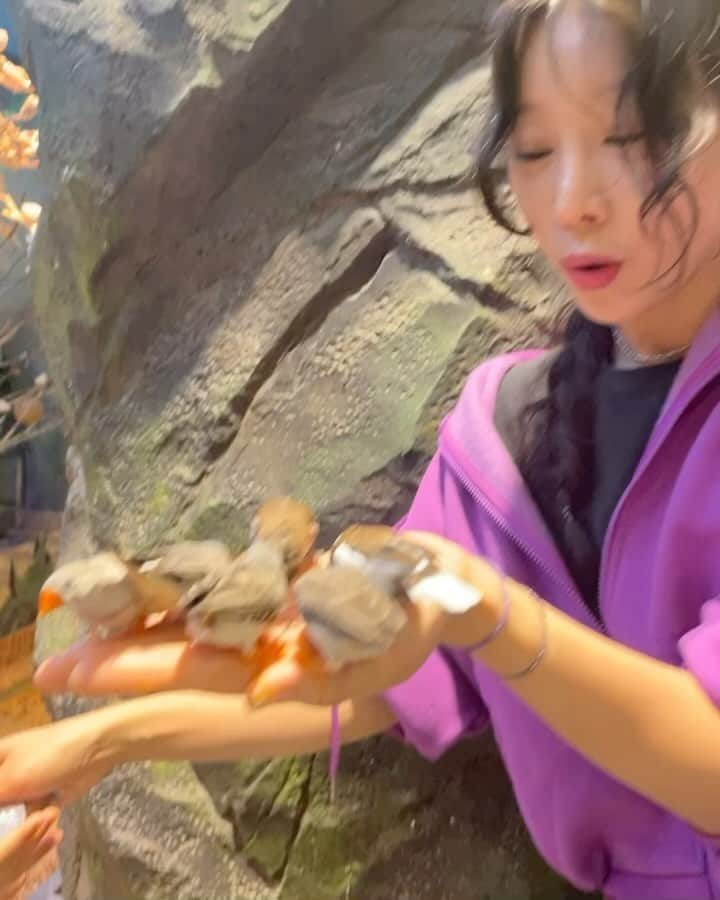 ソンアのインスタグラム：「🐧🦉🐣두번째 오는 주렁주렁😆우리 나라 정말 아이들 살기 좋은나라같다 갈곳 천지야 정말👍🏻🌈💕엄마도 즐기느라 아들 사진이 많이 없네😁」