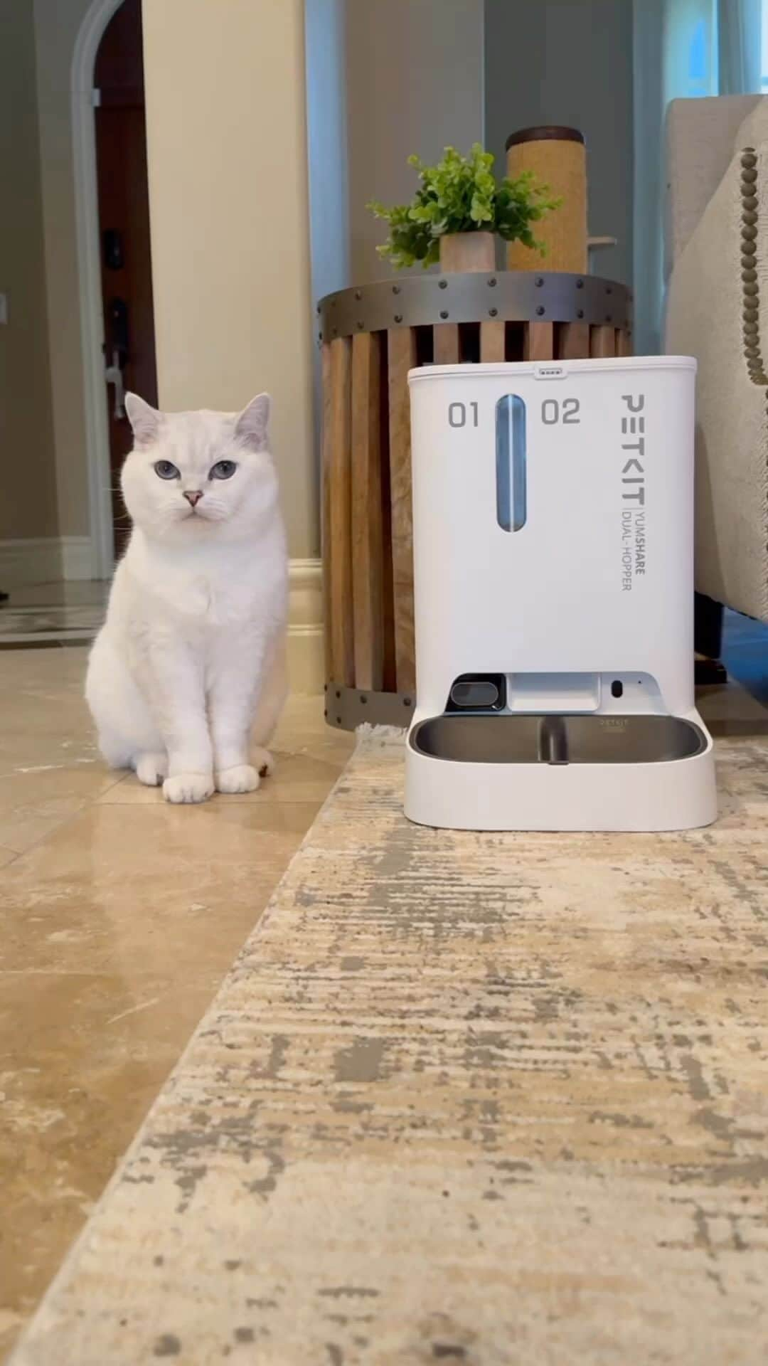 ミスター・ホワイトのインスタグラム：「Embark on a whisker-twitching journey with the YumShare Dual-hopper with Camera. Immerse yourself in the magic of AI-powered monitoring, capturing my playful antics and yummy meals. Stay connected in real time, enjoy two-way audio, and ensure your privacy with just a click. With night vision, anti-blockage alerts, and a freshness-lock system, my dining experience is nothing short of extraordinary. Don’t miss a single moment—tap the link in my bio to discover the purr-fect blend of technology and happiness!   Get YumShare during the Black Friday for $99 from $159 (available until Nov 27th) @petkitofficial   #ad #petkit #cat #catsofinstagram」