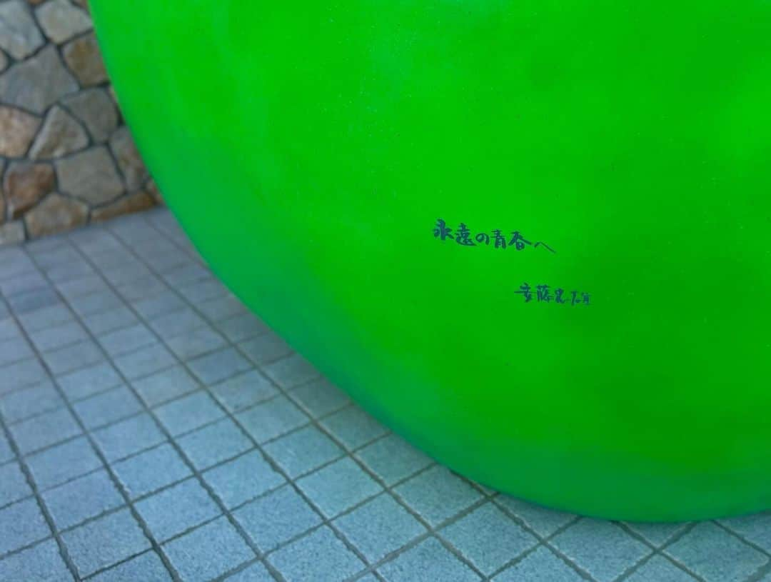 ソ・シネさんのインスタグラム写真 - (ソ・シネInstagram)「永遠の青春へ 🍏 🍂」11月23日 0時01分 - seoshinae