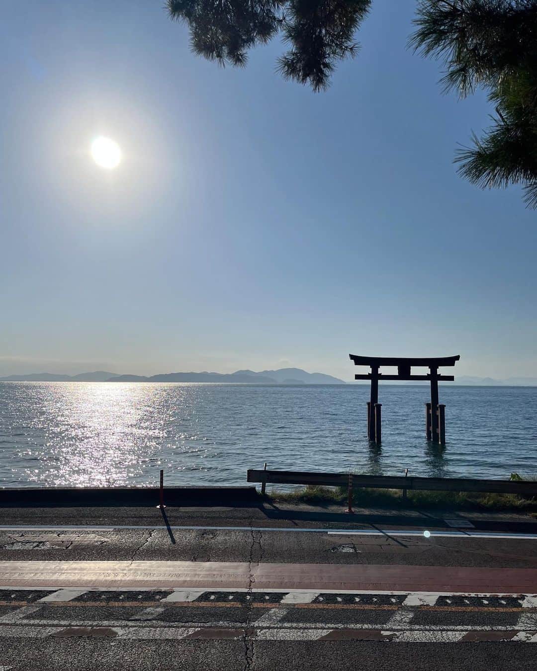 職人.comさんのインスタグラム写真 - (職人.comInstagram)「【ビワイチ】  「ビワイチ」とは「琵琶湖一周」の略称で、日本で一番大きな湖の琵琶湖を自転車で一周することをいいます。先日、ほとんど初めて訪れた滋賀県で、車でビワイチをしてきました。  滋賀県の面積の約6分の1を占める日本最大の湖、琵琶湖。琵琶湖の周りを道路沿いに進むと、一周約200kmあります。自転車でも車でも最短で1日あれば一周することができますが、道中で滋賀県の豊かな自然やグルメなどの寄り道を楽しむためには、1泊2日以上あると安心です。滋賀県は、琵琶湖を中心に湖東・湖西・湖南・湖北などのエリアに分けられ、そのエリアによって気候も特色も文化も異なるため、琵琶湖を一周するとその違いを感じながら旅ができるのもとても面白いのです。  いくつか立ち寄りスポットをご紹介します。安土城の城下町として発展した近江八幡市は、古い街並みを残しながら洋風建築が点在しています。というのも、近江八幡は、先日ご紹介した山の上ホテルや京都の東華菜館などの設計も手がけた著名な建築家、ウィリアム・メレル・ヴォーリズが愛し、拠点としていた街なのです。街を歩きながら、旧八幡郵便局やヴォーリズ建築記念館などヴォーリズ建築めぐりも楽しむことができます。同じく近江八幡市には、滋賀県民なら誰もが知るという菓子店「たねや」のフラッグシップ店である「ラ コリーナ近江八幡」という大きな施設があります。山々の風景になじむ高麗芝の大きな三角屋根が印象的なこちらの建築、設計は藤森照信氏で、お菓子屋さんながら中はテーマパークのようで子どもから大人まで楽しめる場所でした。  湖東の彦根市の彦根城ではひこにゃんが出没していたり、湖北の長浜市のガラスの街「黒壁スクエア」にはガラスショップや伝統的建造物群が軒を連ね、散策や食べ歩きを楽しむ人々でにぎわいます。湖西の高島市にある「メタセコイア並木」では、訪れた際は朝日に照らされて黄金色に染まる秋の木々を見ることができ、青空とのコントラストがとても美しかったです。琵琶湖に佇む大鳥居を望むことができる「白鬚神社」は、ビワイチをする方にとってはおそらく定番のフォトスポットですが、小さな展望台ができ、道路を横断せずに安全に眺められるよう工夫されていました。ご当地グルメもよりどりみどり。1951年創業の「つるやパン」の名物「サラダパン」の中に何が入っているかは食べてからのお楽しみ。三大和牛の一つである近江牛や、削り節や昆布でだしをとった黄金色のスープが特徴的な近江ちゃんぽん、湖魚にトライしてみるのも良いかもしれません。  何よりも、湖や山々などの自然の移り変わる表情を眺めながらの移動は飽きることがなく心癒やされ、滋賀県ならではの体験だと思いました。雨風が強い午後の荒ぶる波や、早朝のピンクから水色の淡いグラデーションの静かな湖面。琵琶湖は、時間帯、季節、天候によってさまざまな景色を見せてくれます。関西のおでかけの選択肢の一つとして、体力に自信のある方やサイクリストの方は自転車で、ゆったりと楽しみたい方は車で、バイカーの方はバイクで、秋のビワイチをしてみてはいかがでしょうか。  ビワイチ オフィシャルサイト https://www.biwako1.jp/ ショールームのご案内 https://www.shokunin.com/jp/showroom/  参考資料 https://www.pref.shiga.lg.jp/ippan/kankyoshizen/biwako/gaiyou.html https://shigatoco.com/map/ https://www.biwako-visitors.jp/ https://ja.wikipedia.org/wiki/%E3%83%93%E3%83%AF%E3%82%A4%E3%83%81 https://ja.wikipedia.org/wiki/%E4%B8%89%E5%A4%A7%E5%92%8C%E7%89%9B https://www.biwako-visitors.jp/guide/detail/280/ https://chanpontei.com/ https://www.keihanhotels-resorts.co.jp/biwakohotel/sightseeing/shirahigejinja/  @shokunincom  #職人ドットコム #ビワイチ #琵琶湖 #滋賀県 #自転車旅 #湖東 #湖西 #湖南 #湖北 #近江八幡 #ウィリアムメレルヴォーリズ #たねや #ラコリーナ近江八幡 #彦根城 #ひこにゃん #黒壁スクエア #メタセコイア並木 #白鬚神社 #つるやパン #サラダパン #近江牛 #近江ちゃんぽん #琵琶湖の景色 #秋のビワイチ #ビワコ #ヴォーリズ #ラコリーナ #びわいち #琵琶一 #琵琶湖一周」11月22日 15時30分 - shokunincom