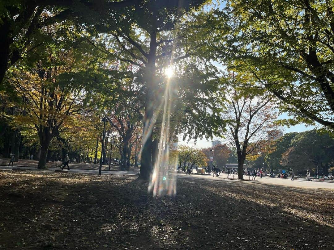 宮本えりのインスタグラム