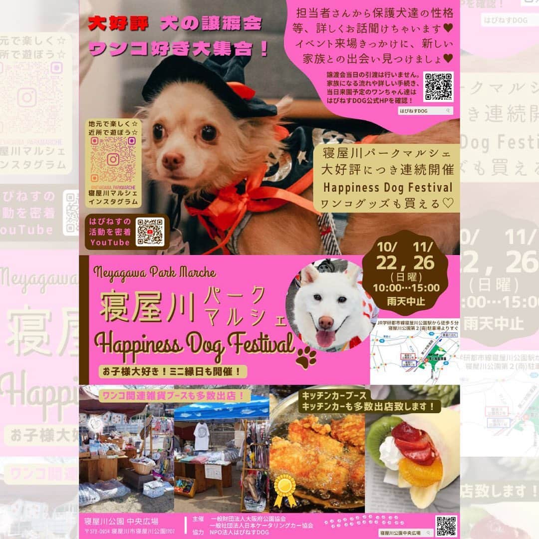 TUKTUKさんのインスタグラム写真 - (TUKTUKInstagram)「1年ぶりのイベント参加です。11月26日、寝屋川パークマルシェに出店します🎉  今回の寝屋川パークマルシェでは、大阪で犬の保護活動をされているNPO団体はぴねすdog @happiness_dog_osaka さんの譲渡会イベントが開催されています。 ということでTUKTUKからも犬のバッジや他の間伐材バッジ、クリスマスの工作ほか色々持って行きます！ お近くの方はぜひお立ち寄りください😊  #tuktuk子ども工作館 #寝屋川パークマルシェ　#はぴねすdogフェスティバル #クリスマス工作 #クリスマスワークショップ #犬のバッジ🐕」11月22日 15時43分 - tuk2craft