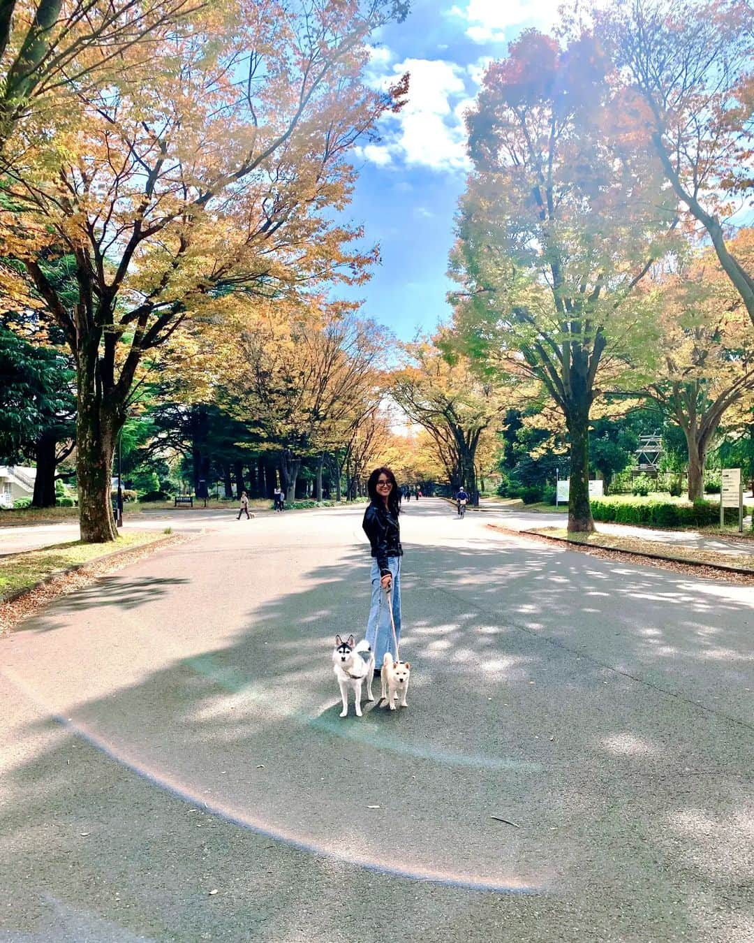 Yoshiko Kris-Webb クリス-ウェブ佳子のインスタグラム：「駒沢公園ぶらぶら。 #PawsomeDogFaye #Mameshiba_Loup」