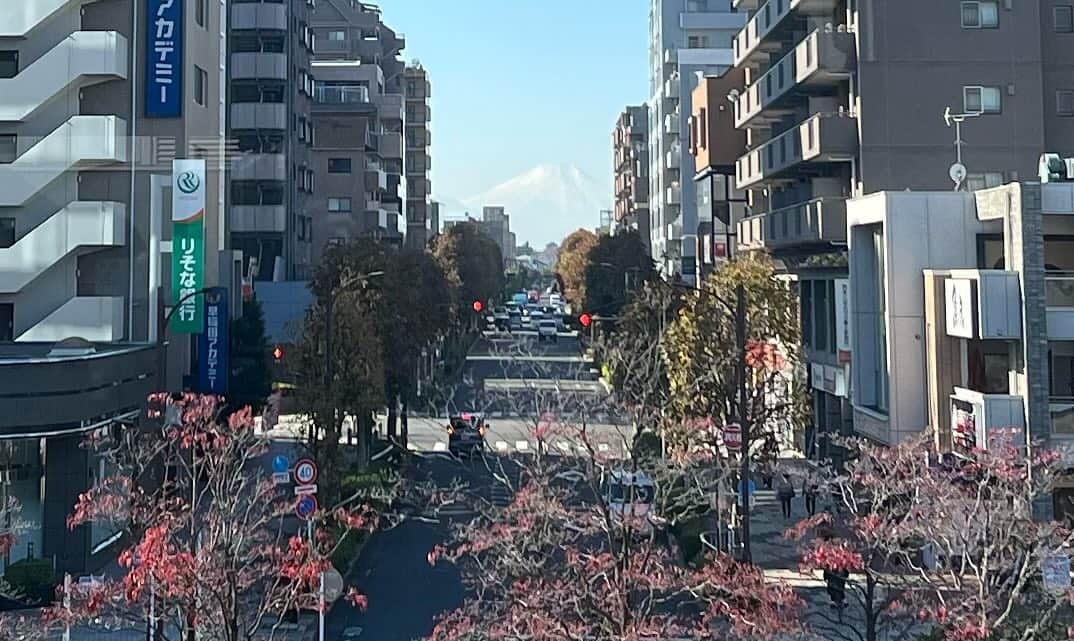 萩原佐代子さんのインスタグラム写真 - (萩原佐代子Instagram)「2023.11.22 #東久留米 駅の窓から観えた #富士山 湧き水の落合川は蛍 黒目川は鴨に白鷺 #ブラックジャック 像やマンホール蓋 農産物も豊富　　 #東京ファンタジー」11月22日 15時38分 - hagiwarasayoko