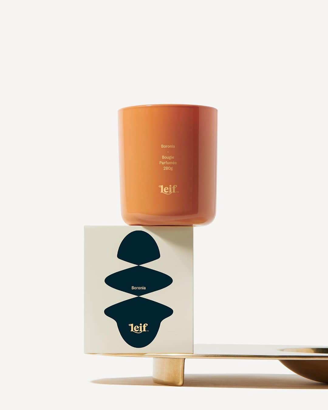 I.T IS INSPIRATIONさんのインスタグラム写真 - (I.T IS INSPIRATIONInstagram)「Indulge in Leif's latest candles to transform your space into a serene sanctuary of relaxation and beauty.  Available at I.T stores and online  #ITHK #ITeSHOP #leif #leifproducts」11月22日 15時55分 - ithk