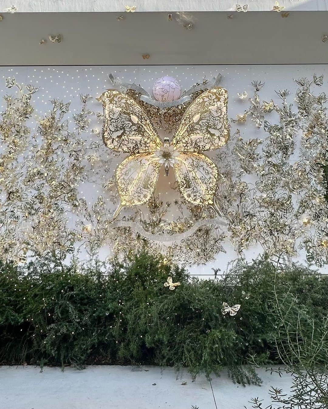 加藤瑠美さんのインスタグラム写真 - (加藤瑠美Instagram)「🦋𝐃𝐈𝐎𝐑 𝐇𝐨𝐥𝐢𝐝𝐚𝐲 𝐏𝐨𝐩𝐮𝐩🦋  先日設営中に通りかかって、あまりの綺麗さに昼間も訪れてみました🎄💫 ホワイト×ゴールドの世界観可愛すぎる…🥹🤍💛 ホリデーシーズン最高🎄❄️✨ 蝶のミッツァを購入して早速巻いていただきました🦋  📍DIOR HOLIDAY POP-UP 東京都港区南青山5-1-1 OMOTESANDO CROSSING PARK 11月18日（土）～12月25日（月） 11:00 - 20:00  #dior#diorholiday#holiday#omotesando#ディオール#ディオールポップアップ#表参道#ミッツァ」11月22日 16時17分 - katorubi