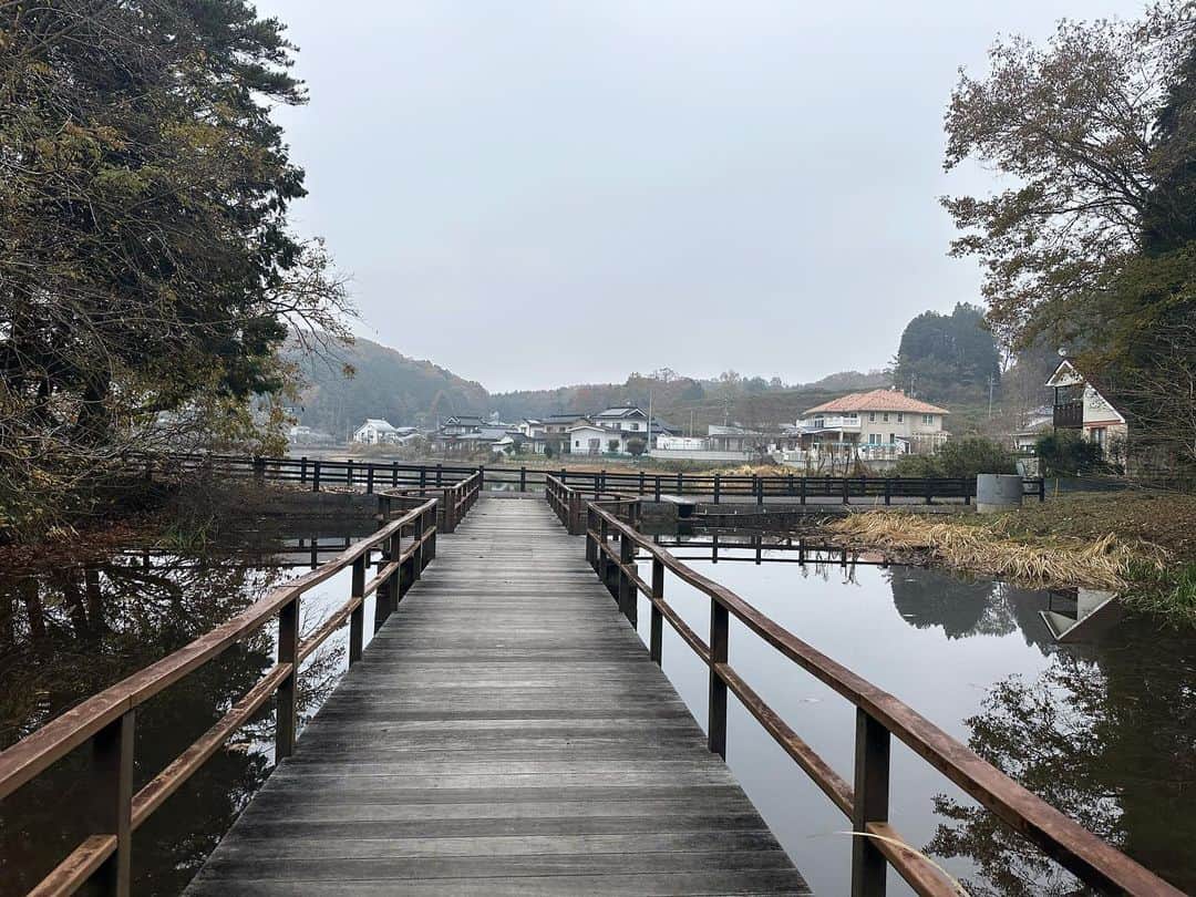 大隅智子さんのインスタグラム写真 - (大隅智子Instagram)「ふらっと広島県北部の庄原に行ってきました。 今年は紅葉が遅く、まだ見頃のものも多く、楽しめました。 上野公園や備北丘陵公園を軽く散策。 朝露やどんぐり、松ぼっくりなどを発見！ 話題のお店にも行き、味噌牛乳ホルモンちゃんぽんを頂きました！ アメダスも見ておきました。 自然の中は気持ちよかったです。」11月22日 16時30分 - tomokotenki
