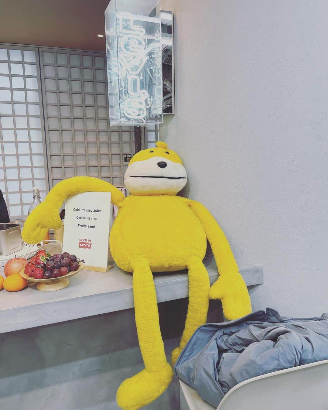 渡辺佳代子のインスタグラム：「リーバイスのプレスルームで寛いでるこの子、名前なんだっけ？  #otonamuse #オトナミューズ #levis #やっぱり501好き」
