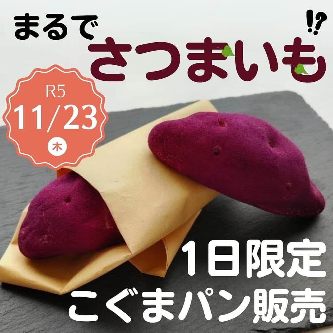 ari ta suさんのインスタグラム写真 - (ari ta suInstagram)「・ 【KILN ARITA お菓子販売のお知らせ】  みなさんこんにちは☺️ 有田では今日から26日（日）まで 秋の有田陶磁器まつりを開催しています🍁  有田駅前のKILN ARITAでは、 明日、11月23日（木）10:30から 西九州短期大学 地域生活支援学科 食健康コースの みなさんがゼミ活動で研究した"麹"を 使ったスイーツを販売いたします。  おすすめは韓国発のこぐまパンです。 まるでさつまいもにしか見えないフォルムですが、 割ってびっくりのびーる食感のパンです🍠 こちらは限定100個の販売です。  他にもスイーツやコーヒーなど販売予定です。 ぜひお立ち寄りください☕️  #有田#ありた#ARITA#秋の有田陶磁器まつり#秋の有田陶磁器まつり2023  #佐賀県#有田町#有田焼⠀ #aritajapan⠀ #佐賀旅行#九州旅行#九州観光⠀ ⠀ #うつわ好き⠀ #器好き#器好きな人と繋がりたい⠀ #器好きな人とつながりたい」11月22日 17時12分 - aritasu_tasu