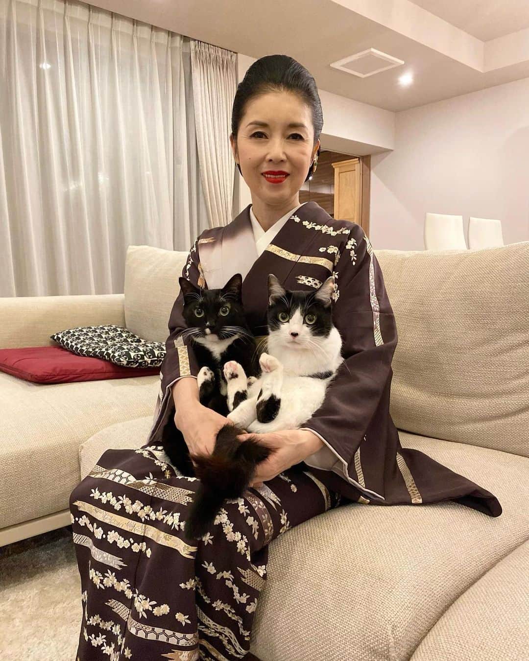 藤あや子のインスタグラム：「✨ワンワンニャンニャンの日✨  11月22日は「Thanks pet day」に制定されていることをご存知でしたか？🐾  毎秒毎瞬間可愛くて人生を彩り豊かにしてくれる大切な家族に改めて感謝したいと思います♡  マルオレちゃんは今日も『いいニャンニャン』っぷりが炸裂してます😍  #マルオレ #thankspetsday #オレにゃんのあんよかわよ」