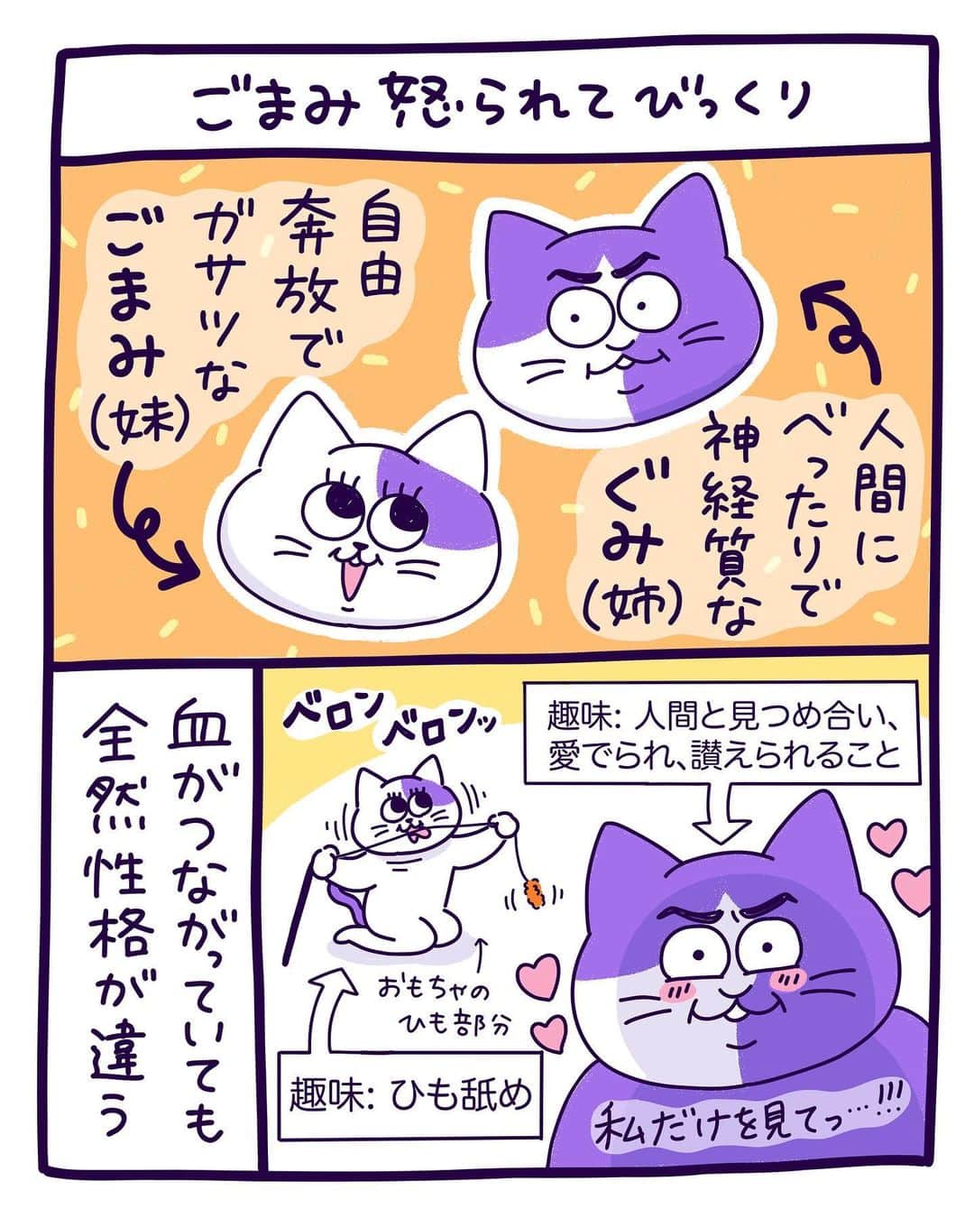 澤村 花菜のインスタグラム：「色々気にしすぎるタイプと、色々気にしなさすぎるタイプ。毎日のように叩かれてます。まぁなんだかんだなかよしだけど👭  #ぐみごまのまんが  #日常まんが #猫まんが #イラスト」