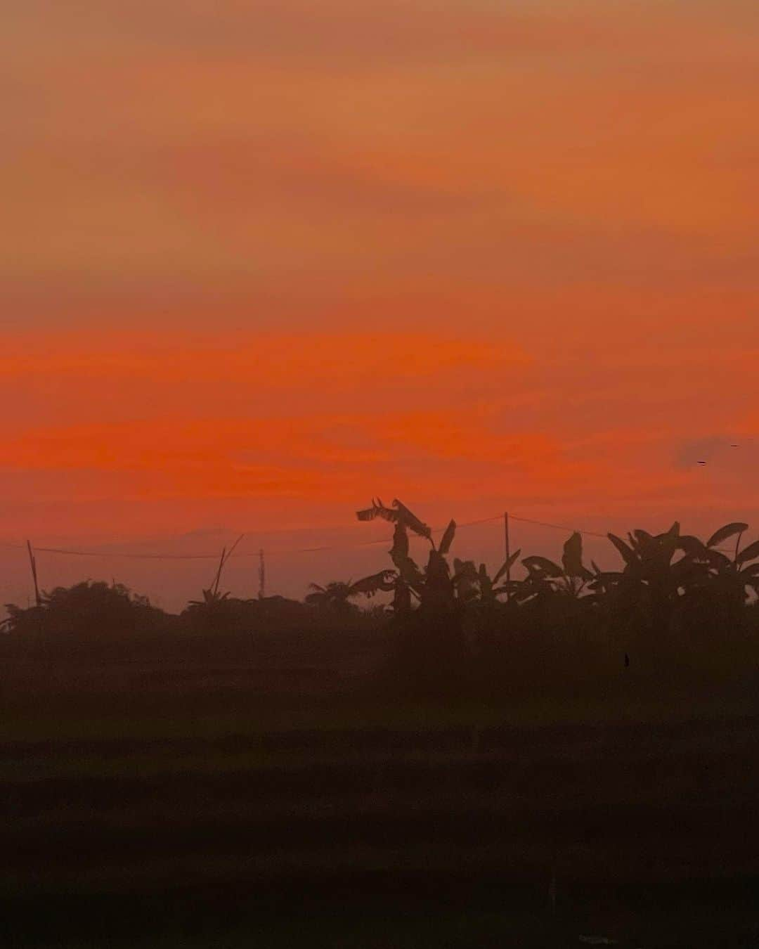 森友里恵さんのインスタグラム写真 - (森友里恵Instagram)「夕陽がだいすき。」11月22日 16時55分 - yucrebie