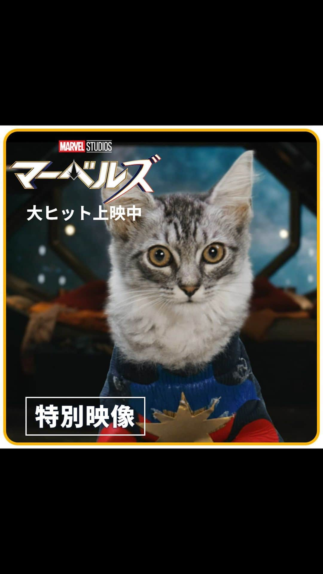 ディズニー・スタジオのインスタグラム：「🐈🐈🐈特別予告登場🐈🐈🐈  ／ 『ニャーベルズ🐱』 ＼  猫のヒーローたちが ニャッセンブル‼  ＜キャプテン・ニャーベル＞ ＜ミズ・ニャーベル＞ ＜モニカ・ニャンボー＞ その力は未知数…  キャプテン・マーベルが チームで脅威に立ち向かう姿を描く 『マーベルズ』は劇場で! 大ヒット上映中ニャ🐾  詳しくは公式サイトをチェック！  【スタッフ・キャスト】 #ニアダコスタ #ブリーラーソン #イマンヴェラーニ #テヨナパリス #サミュエルLジャクソン #パクソジュン #ゾウイアシュトン — #マーベルズ #TheMarvels #キャプテンマーベル #CaptainMarvel #ミズマーベル #MsMarvel #モニカランボー #MonicaRambeau #マーベルスタジオ #MarvelStudios #マーベル #Marvel #ディズニー #Disney #映画 #洋画 #新作映画 #おすすめ映画 #映画紹介 #movie #cinema #film #moviestagram」