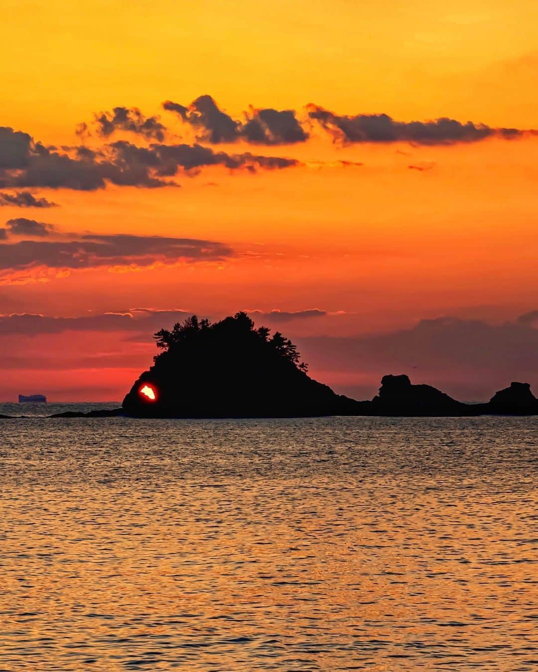 和みわかやまのインスタグラム：「. 串本町の海沿いを走っていると見ることができる、鯛島🐟鯛のように見える島の「目」の部分から朝日が昇る、通称「金目鯛」の光景が、来年2月頃まで楽しめます🌞  📷：@iwanori_pho 📍：白浜・串本エリア 串本町  #グッドトリップ和歌山 投稿キャンペーン優秀賞からのリポストです😉 . . . #和歌山 #和歌山観光 #和歌山旅行 #わかやま #和みわかやま #wakayama #wakayamajapan #wakayamatrip #wakayamatravel #nagomi_wakayama #wakayamagram #串本 #鯛島 #金目鯛 #朝日 #写真スポット #sunrise #uniquesunrise #kusimoto #sunset #旅行 #国内旅行 #旅行好きな人と繋がりたい #観光 #travel #trip #travelgram #japan #travelphotography」