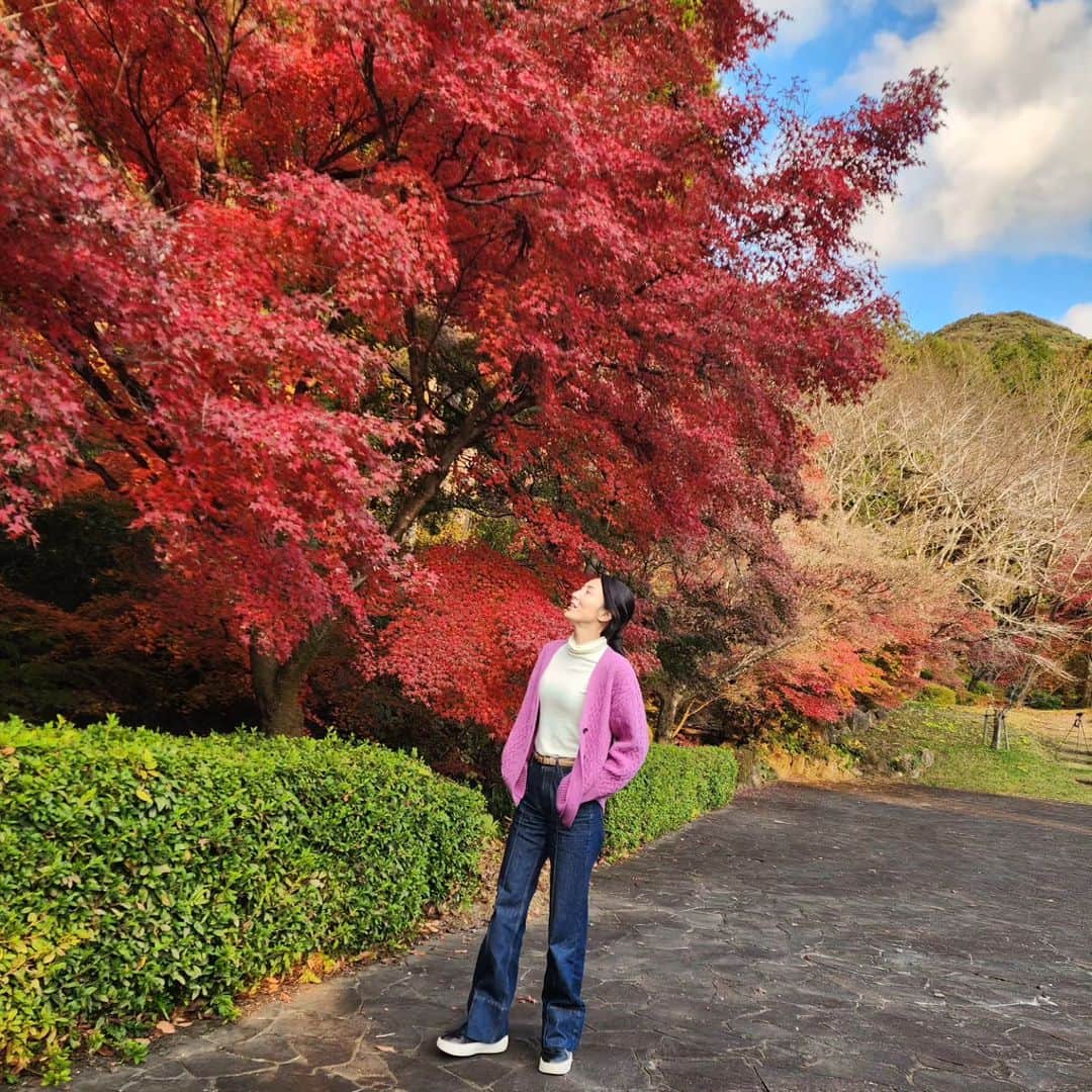 吉松育美のインスタグラム：「So beautiful...🍂🍂🍂  紅葉がピークでしたぁ～✨ #多久市   #多久 #佐賀県 #saga #紅葉 #秋 #もみじ #ライトアップ #風景 #自然 #散歩 #autumn #🍁」