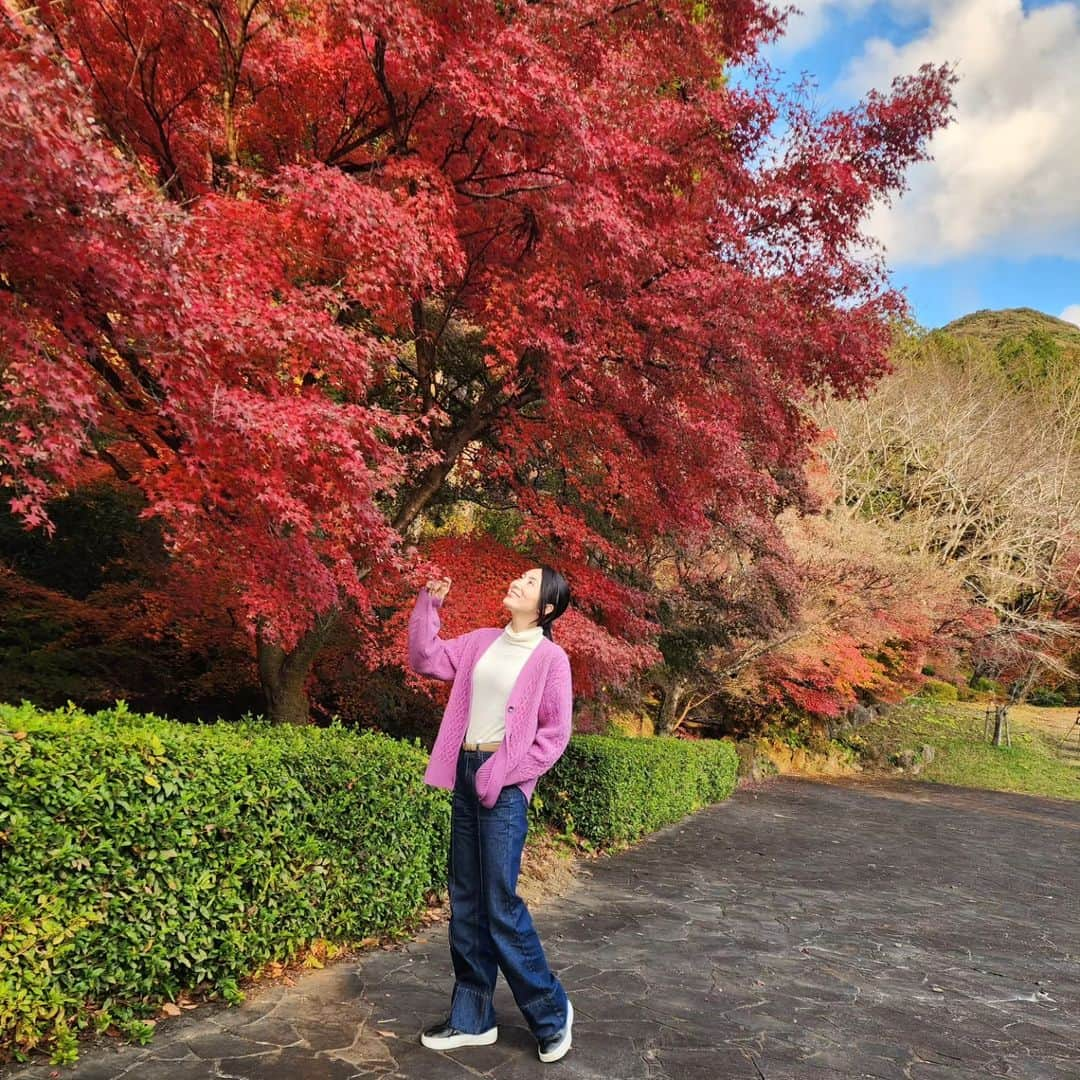 吉松育美さんのインスタグラム写真 - (吉松育美Instagram)「So beautiful...🍂🍂🍂  紅葉がピークでしたぁ～✨ #多久市   #多久 #佐賀県 #saga #紅葉 #秋 #もみじ #ライトアップ #風景 #自然 #散歩 #autumn #🍁」11月22日 17時06分 - ikumiyoshimatsu