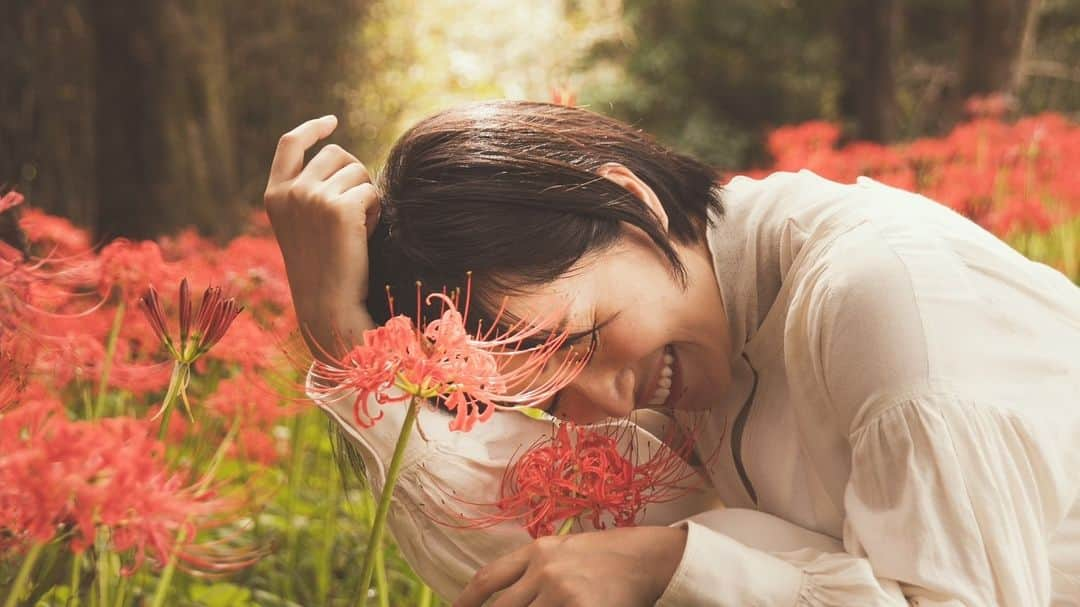 江守沙矢のインスタグラム：「曼珠沙華ダークテイストなのも美しいけど 明るいのも綺麗よね  photographer: @terao_kaishi」