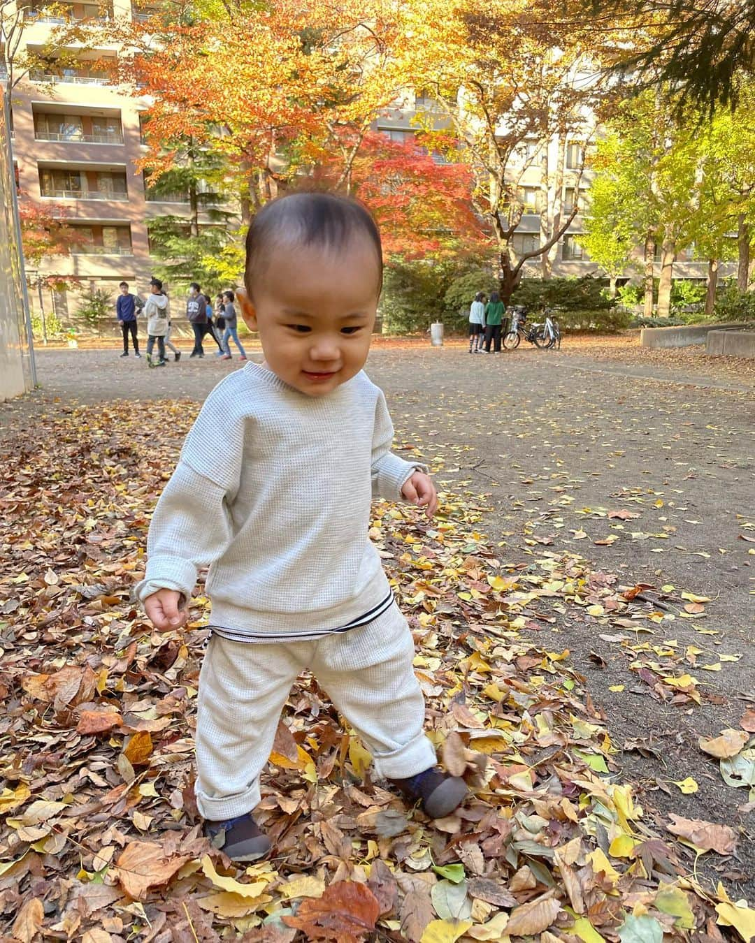  如月 みうさんのインスタグラム写真 - ( 如月 みうInstagram)「美しい紅葉の中で🍁 公園に行くとお兄さんお姉さんがたくさんいて 嬉しいみたい、満面の笑みで遊びの邪魔をしにいく🥹💦」11月22日 17時45分 - miu_k123