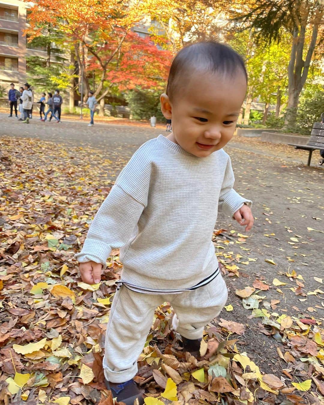  如月 みうのインスタグラム：「美しい紅葉の中で🍁 公園に行くとお兄さんお姉さんがたくさんいて 嬉しいみたい、満面の笑みで遊びの邪魔をしにいく🥹💦」