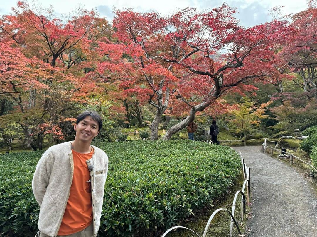 山中真さんのインスタグラム写真 - (山中真Instagram)「・ 今週は紅葉中継。  嵐山の宝厳院、 戦国時代からのお庭は 紅葉の名所でそろそろ見頃。 ただお寺は1461年創建ながら 明治に入り本堂がない時期が。  そこで銀行にお金を借りて土地を買い 今の場所に来たのは21年前。 今もご住職は拝観料などから ローン返済をしているそうで。  本堂のふすま絵は 田村能里子さんの作品。  寺院で朱色というのも そして本堂に女流画家、というのも これまでにない新しい試み。  伝統を守りつつ これからも新しいチャレンジを！  #mbs #よんチャンtv #毎日生中継 #山ちゃん中継 #宝厳院　#天龍寺塔頭 #紅葉　#京都紅葉 #田村能里子」11月22日 17時38分 - makorine1120