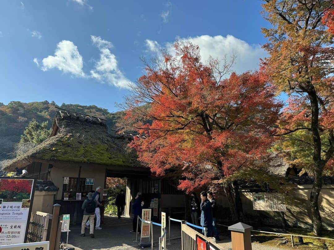 山中真さんのインスタグラム写真 - (山中真Instagram)「・ 今週は紅葉中継。  嵐山の宝厳院、 戦国時代からのお庭は 紅葉の名所でそろそろ見頃。 ただお寺は1461年創建ながら 明治に入り本堂がない時期が。  そこで銀行にお金を借りて土地を買い 今の場所に来たのは21年前。 今もご住職は拝観料などから ローン返済をしているそうで。  本堂のふすま絵は 田村能里子さんの作品。  寺院で朱色というのも そして本堂に女流画家、というのも これまでにない新しい試み。  伝統を守りつつ これからも新しいチャレンジを！  #mbs #よんチャンtv #毎日生中継 #山ちゃん中継 #宝厳院　#天龍寺塔頭 #紅葉　#京都紅葉 #田村能里子」11月22日 17時38分 - makorine1120