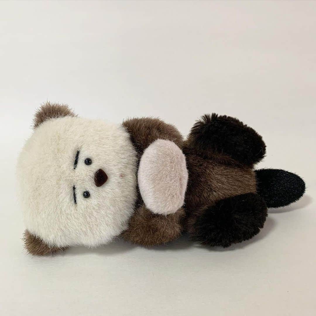 片岡メリヤスのインスタグラム：「参加してます🐼🐝🦋🦦🦜🦇🐢🦎🐨🐸🧚🏔️11/26まで。 絶滅の危機に瀕している動物たちのぬいぐるみを制作しました。  「HELP展 30年後に消えてしまうかもしれない」 @help_gpj  --- 11月17日(金)-26日(日) 11:00-18:00 LIGHT BOX STUDIO AOYAMA  東京都港区南青山5丁目-16-7  表参道駅B1出口より渋谷方向へ徒歩6分  入場無料 --- 日本の気候変動を感じる来場者参加型のアート展 ぬいぐるみ作家・片岡メリヤス氏、八劔神社宮司・宮坂清氏、料理研究家・土井善晴氏ら、多様な作家、文化人 とコラボレーションし、日本に迫る気候危機を「感じられる」作品を展示。消えゆく動物たちがぬいぐるみに、昆布 からは日本人の精神を読み解きます。また、展示品を含む会場造作の一部を持ち帰りできる、来場者参加型の 企画も実施。展示会のリユースを社会実験します。  *公式サイトで事前の入場をお申込みいただいた方には、会場で粗品をお渡しします。 また、混雑時には事前申し込みの方を優先にご案内いたします。  告知協力:パタゴニア日本支社   ぬいぐるみは抽選販売です。(会場のみ)  #help展」