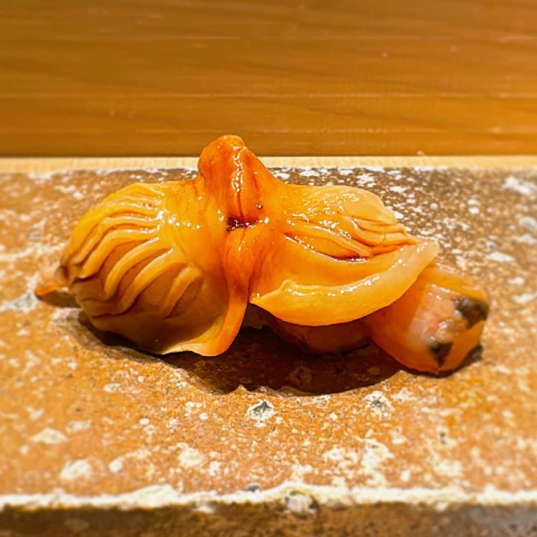 山岸久朗さんのインスタグラム写真 - (山岸久朗Instagram)「神戸の「鮓みずき」初訪問。 @sushi_mizuki.06   三宮駅からすぐのナイスなロケーション。 鮨の不毛地帯神戸（失礼）にあって、堂々たる高級感ある設えに、創意工夫あふれる江戸前鮨。美味しい！楽しい！そしてお値段は大阪より割安！おとぅとぅめです🫶  #鮓みずき #鮨みずき #三宮 #三宮グルメ #三宮ランチ #三宮ディナー #三宮デート #三宮寿司 #三宮鮨 #神戸 #神戸ランチ #神戸グルメ #神戸寿司 #神戸鮨 #kobejapan  #sannomiya  #sushijapan」11月22日 17時58分 - yamaben