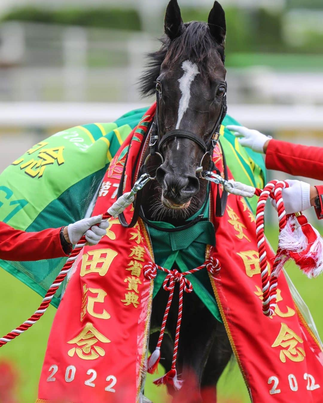 池添謙一のインスタグラム：「おつかれさま😌 いいお母さんに🐴 ありがとう  #ソングライン」