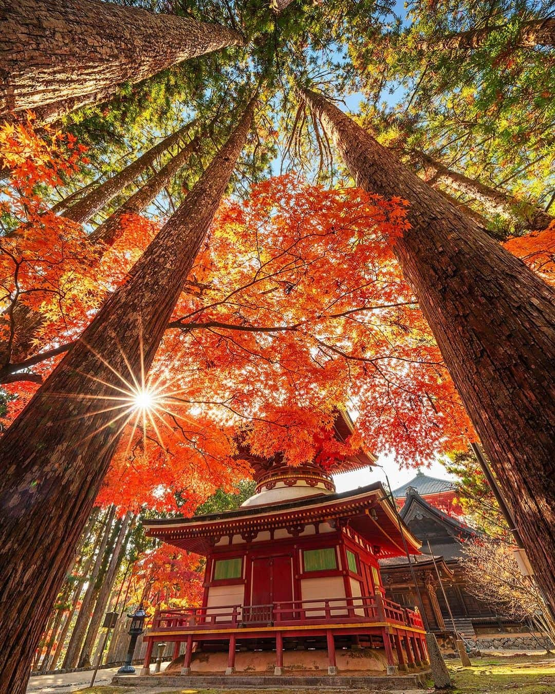 Visit Wakayamaのインスタグラム：「. Things are looking up! Leaves around Danjo Garan Sacred Temple Complex have turned rich red, in harmony with the Great Stupa.  📸 @naraphoto_hiro 📍 Danjo Garan Sacred Temple Complex, Wakayama . . . . . #discoverjapan #unknownjapan #instajapan #landscape #japan #japantrip #japantravel #beautifuldestinations #wakayama #wakayamagram #explore #adventure #visitwakayama #travelsoon #visitjapan #stayadventurous #igpassport #explorejapan #lonelyplanet #sustainabletourism #worldheritage #koyasan #autumninjapan #fallfoliage #fallcolors #japanesetemples #danjogaran #koyasaninautumn #worldheritage #sacredtemples」