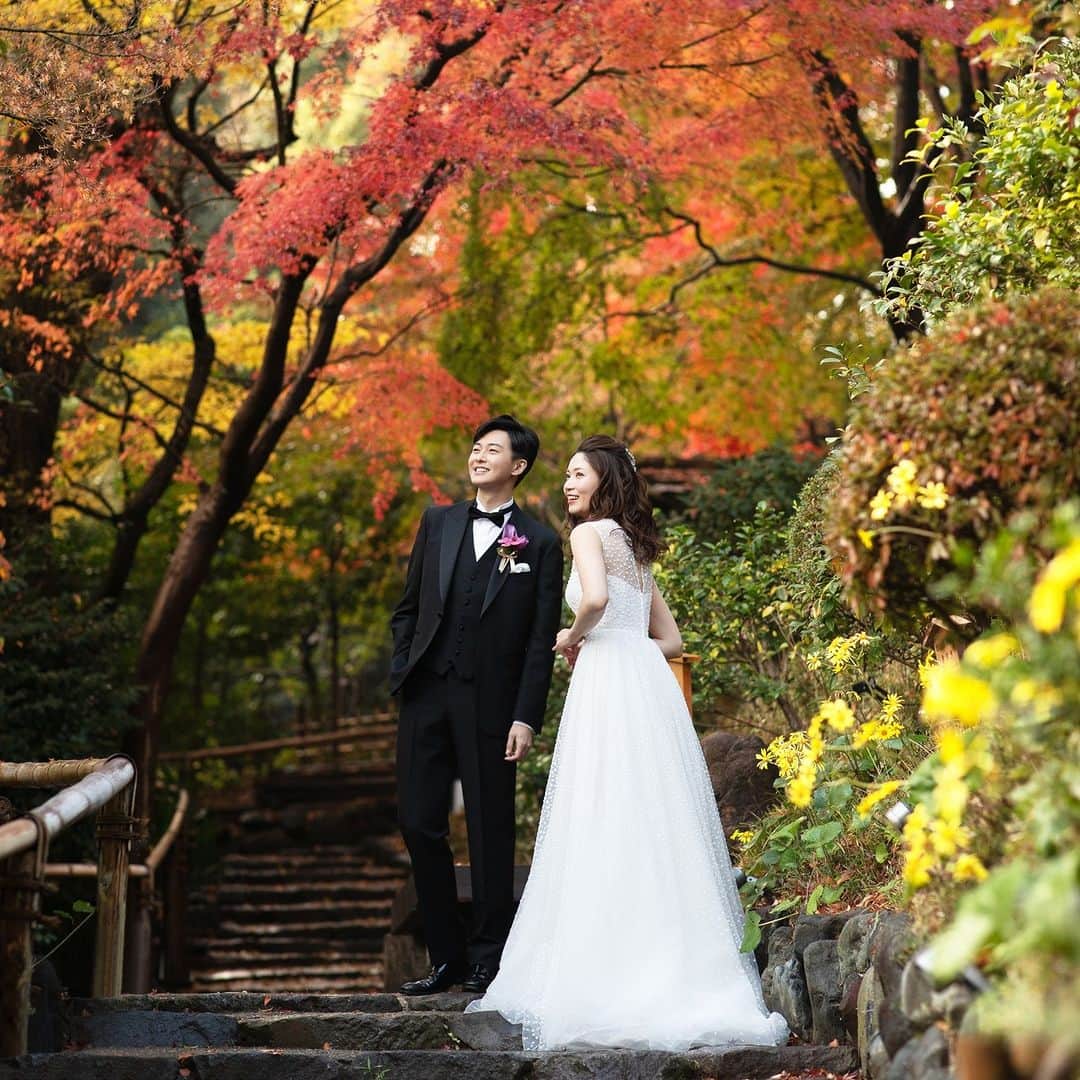 ホテル椿山荘東京さんのインスタグラム写真 - (ホテル椿山荘東京Instagram)「. 本日11/22は”いい夫婦の日”  多くのご結婚式をお手伝いさせていただけること とても幸せに思います♡  秋の風が気持ちよく、日に日に、庭園は色鮮やかに・・・🍁 It’s been a day of pleasant autumn winds. The trees grow more colorful each day...  @hotelchinzansotokyo_official  @hotelchinzansotokyo_wedding  #autumn #autumnleaves #marriedcouple #ホテル椿山荘東京ウエディング  #紅葉 #秋 #庭園巡り #いい夫婦の日 #11月22日」11月22日 18時00分 - hotelchinzansotokyo_official