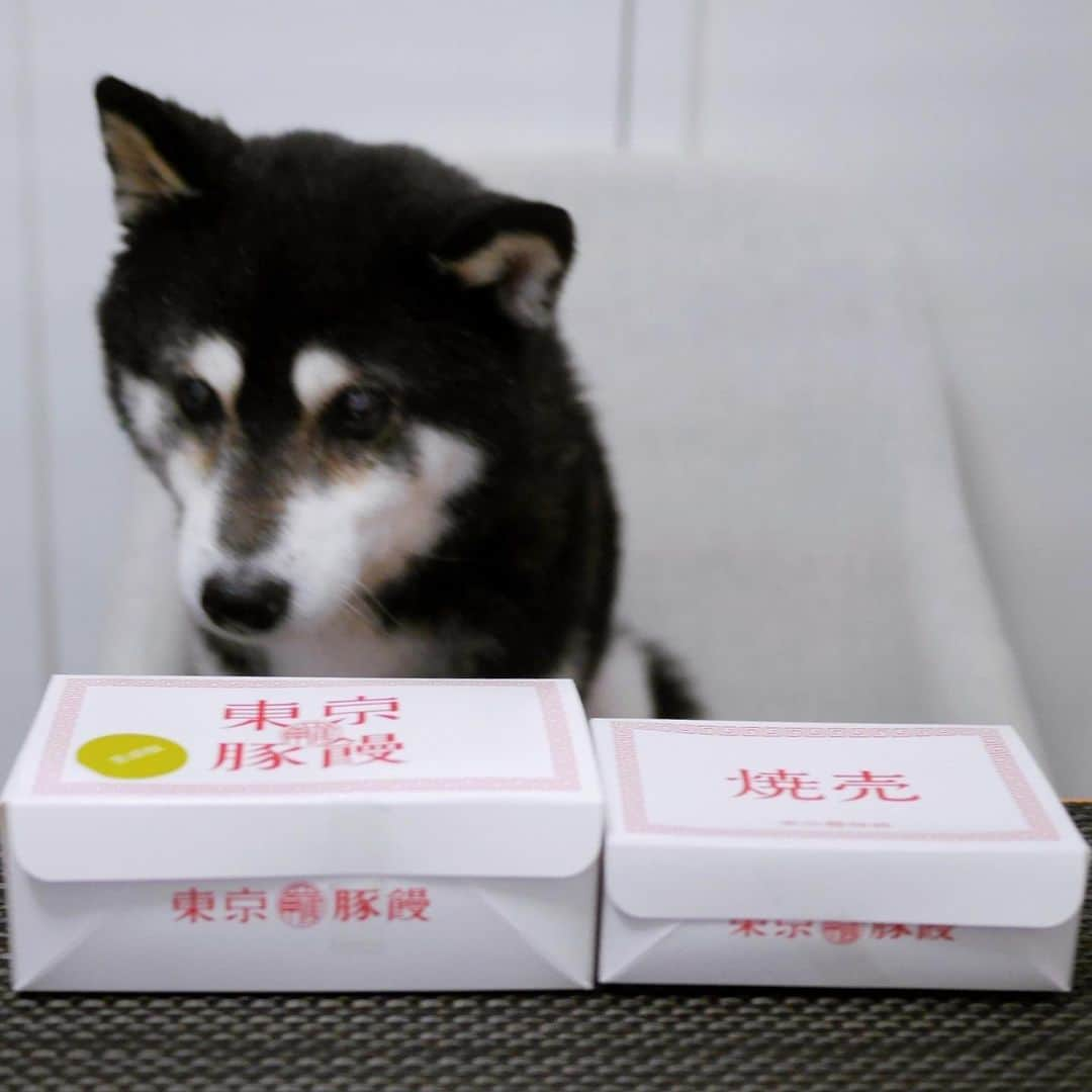 くろさんのインスタグラム写真 - (くろInstagram)「東京豚饅 自由が丘店で調達🐷  やっとこさ自由が丘店限定の黒胡椒豚饅をゲット◡̈  甘酢団子は売り切れでしたが焼売はギリギリありましたw  〜〜〜 大阪土産の定番 『551 蓬莱』 創業者の孫「羅 邦強」監修 恵比寿で人気の 『東京豚饅』 2号店が自由が丘に🐽 南口「etomo　自由が丘」（Gong cha エトモ自由が丘店 / ゴンチャ 跡地）に11月3日OPEN！ 〜〜〜  #豆も気になるぅ  #東京豚饅 #東京豚饅自由が丘 #盛大開幕  #羅家東京豚饅 #東京豚饅etomo自由が丘店 #東京豚饅自由が丘店 #東京豚饅2号店 #黒胡椒豚饅 #東京豚饅黒胡椒豚饅 #東京豚饅焼売 #自由が丘飲食店徘徊中」11月22日 18時20分 - m6bmw