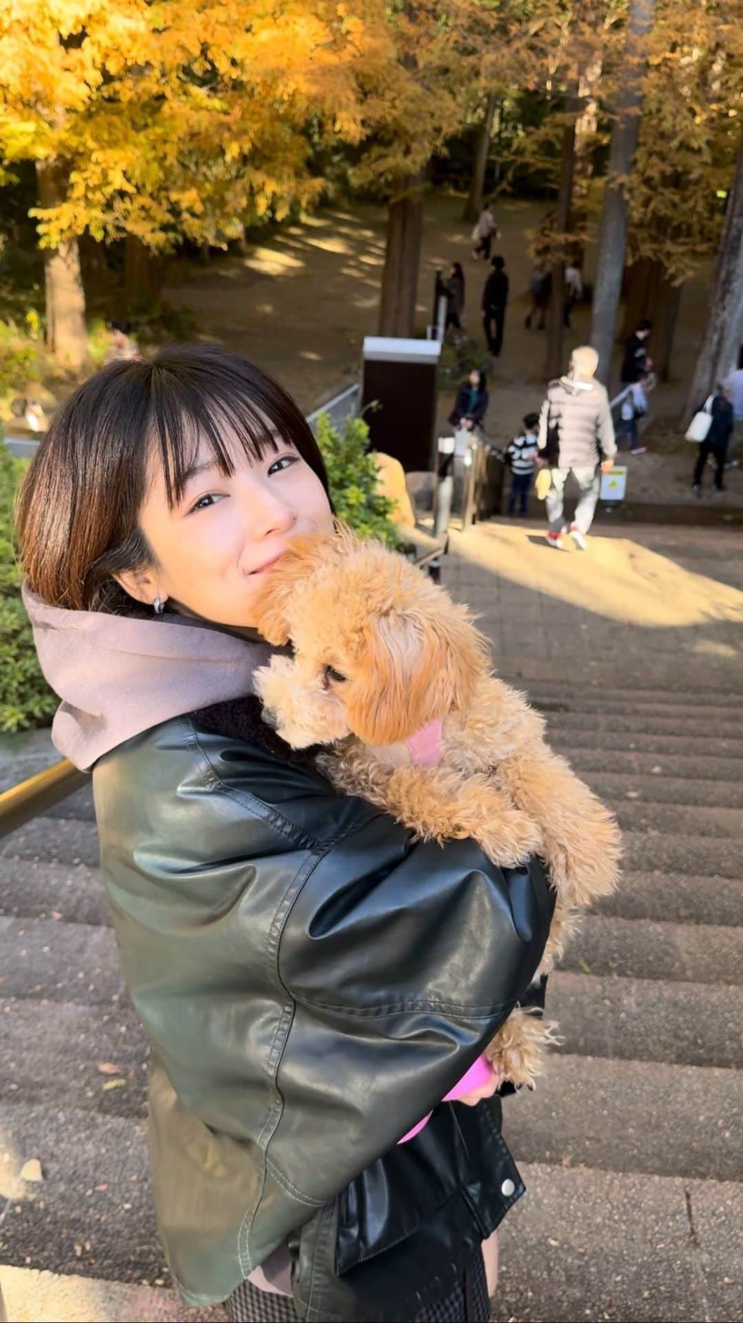 傳彩夏のインスタグラム