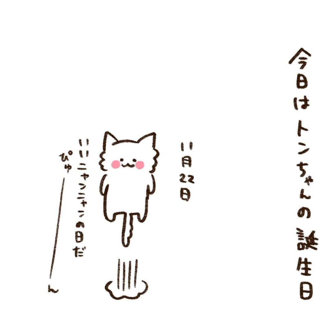 やまもとりえさんのインスタグラム写真 - (やまもとりえInstagram)「トンちゃんおめでとう🎊」11月22日 18時41分 - rinpotage